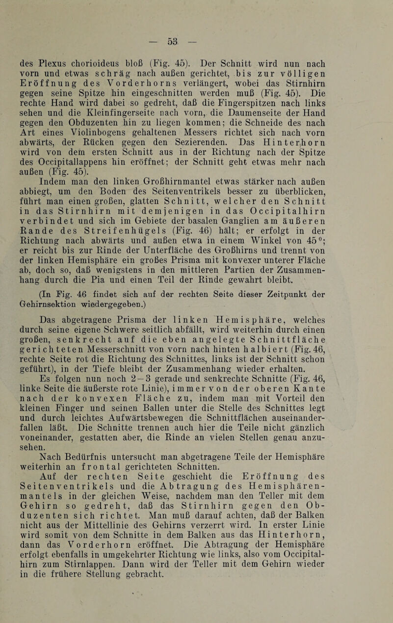 des Plexus chorioideus bloß (Fig. 45). Der Schnitt wird nun nach vorn und etwas schräg nach außen gerichtet, bis zur völligen Eröffnung des Vorderhorns verlängert, wobei das Stirnhirn gegen seine Spitze hin eingeschnitten werden muß (Fig. 45). Die rechte Hand wird dabei so gedreht, daß die Fingerspitzen nach links sehen und die Kleinfingerseite nach vorn, die Daumenseite der Hand gegen den Obduzenten hin zu liegen kommen; die Schneide des nach Art eines Violinbogens gehaltenen Messers richtet sich nach vorn abwärts, der Rücken gegen den Sezierenden. Das Hinterhorn wird von dem ersten Schnitt aus in der Richtung nach der Spitze des Occipitallappens hin eröffnet; der Schnitt geht etwas mehr nach außen (Fig. 45). Indem man den linken Großhirnmantel etwas stärker nach außen abbiegt, um den Boden des Seitenventrikels besser zu überblicken, führt man einen großen, glatten Schnitt, welcher den Schnitt in das Stirnhirn mit demjenigen in das Occipitalhirn verbindet und sich im Gebiete der basalen Ganglien am äußeren Rande des Streifenhügels (Fig. 46) hält; er erfolgt in der Richtung nach abwärts und außen etwa in einem Winkel von 45°; er reicht bis zur Rinde der Unterfläche des Großhirns und trennt von der linken Hemisphäre ein großes Prisma mit konvexer unterer Fläche ab, doch so, daß wenigstens in den mittleren Partien der Zusammen¬ hang durch die Pia und einen Teil der Rinde gewahrt bleibt. (In Fig. 46 findet sich auf der rechten Seite dieser Zeitpunkt der Gehirnsektion wiedergegeben.) Das abgetragene Prisma der linken Hemisphäre, welches durch seine eigene Schwere seitlich abfällt, wird weiterhin durch einen großen, senkrecht auf die eben angelegte Schnittfläche gerichteten Messerschnitt von vorn nach hinten halbiert (Fig. 46, rechte Seite rot die Richtung des Schnittes, links ist der Schnitt schon geführt), in der Tiefe bleibt der Zusammenhang wieder erhalten. Es folgen nun noch 2 — 3 gerade und senkrechte Schnitte (Fig. 46, linke Seite die äußerste rote Linie), immervon der oberen Kante nach der konvexen Fläche zu, indem man mit Vorteil den kleinen Finger und seinen Ballen unter die Stelle des Schnittes legt und durch leichtes Aufwärtsbewegen die Schnittflächen auseinander¬ fallen läßt. Die Schnitte trennen auch hier die Teile nicht gänzlich voneinander, gestatten aber, die Rinde an vielen Stellen genau anzu¬ sehen. Nach Bedürfnis untersucht man abgetragene Teile der Hemisphäre weiterhin an frontal gerichteten Schnitten. Auf der rechten Seite geschieht die Eröffnung des Seitenventrikels und die Abtragung des Hemisphären¬ mantels in der gleichen Weise, nachdem man den Teller mit dem Gehirn so gedreht, daß das Stirnhirn gegen den Ob¬ duzenten sich richtet. Man muß darauf achten, daß der Balken nicht aus der Mittellinie des Gehirns verzerrt wird. In erster Linie wird somit von dem Schnitte in dem Balken aus das Hinterhorn, dann das Vorder horn eröffnet. Die Abtragung der Hemisphäre erfolgt ebenfalls in umgekehrter Richtung wie links, also vom Occipital¬ hirn zum Stirnlappen. Dann wird der Teller mit dem Gehirn wieder in die frühere Stellung gebracht.