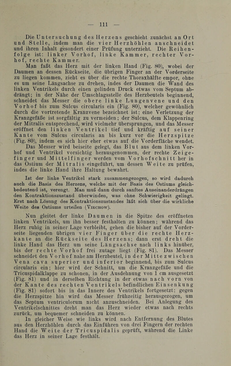 Die Untersuchung des Herzens geschieht zunächst an Ort und Stelle, indem man die vier Herzhöhlen anschneidet und ihren Inhalt gesondert einer Prüfung unterzieht. Die Reihen¬ folge ist: linker Vorhof, linke Kammer, rechter Vor¬ hof, rechte Kammer. Man faßt das Herz mit der linken Hand (Fig. 80), wobei der Daumen an dessen Rückseite, die übrigen Finger an der Vorderseite zu liegen kommen, zieht es über die rechte Thoraxhälfte empor, ohne es um seine Längsachse zu drehen, indes der Daumen die Wand des linken Ventrikels durch einen gelinden Druck etwas vom Septum ab¬ drängt; in der Nähe der Umschlagsstelle des Herzbeutels beginnend, schneidet das Messer die obere linke Lungenvene und den Vorhof bis zum Sulcus circularis ein (Fig. 80), welcher gewöhnlich durch die vortretende Kranzvene bezeichnet ist; eine Verletzung der Kranzgefäße ist sorgfältig zu vermeiden; der Sulcus, dem Klappenring der Mitralis entsprechend, wird vielmehr übersprungen, und das Messer eröffnet den linken Ventrikel tief und kräftig auf seiner Kante vom Sulcus circularis an bis kurz vor die Herzspitze (Fig. 80), indem es sich hier eher etwas auf die Vorderfläche wendet. Das Messer wird beiseite gelegt, das Blut aus dem linken Vor¬ hof und Ventrikel vorsichtig herausgenommen, der rechte Zeige¬ finger und Mittelfinger werden vom Vor hofschnitt her in das Ostium der Mitralis eingeführt, um dessen Weite zu prüfen, indes die linke Hand ihre Haltung bewahrt. Ist der linke Ventrikel stark zusammengezogen, so wird dadurch auch die Basis des Herzens, welche mit der Basis des Ostiums gleich¬ bedeutend ist, verengt. Man muß dann durch sanftes Auseinanderdrängen den Kontraktionszustand überwinden, was ohne Schwierigkeit gelingt. Erst nach Lösung des Kontraktionszustandes läßt sich über die wirkliche Weite des Ostiums urteilen (Virchow). Nun gleitet der linke Daumen in die Spitze des eröffneten linken Ventrikels, um ihn besser festlialten zu können; während das Herz ruhig in seiner Lage verbleibt, gehen die bisher auf der Vorder¬ seite liegenden übrigen vier Finger über die rechte Herz¬ kante an die Rückseite des Herzens; dann erst dreht die linke Hand das Herz um seine Längsachse nach links hinüber, bis der rechte Vorhof frei zutage liegt (Fig. 81). Das Messer schneidet den V o r h o f nahe am Herzbeutel, iu der Mitte zwischen Vena cava superior und inferior beginnend, bis zum Sulcus circularis ein; hier wird der Schnitt, um die Kranzgefäße und die Tricuspidalklappe zu schonen, in der Ausdehnung von 1 cm ausgesetzt (Fig. 81) und in derselben Richtung in der etwas nach vorn von der Kante des rechten Ventrikels befindlichen Einsenkung (Fig. 81) sofort bis in das Innere des Ventrikels fortgesetzt; gegen die Herzspitze hin wird das Messer frühzeitig herausgezogen, um das Septum ventriculorum nicht anzuschneiden. Bei Anlegung des Ventrikelschnittes dreht man das Herz wieder etwas nach rechts zurück, um bequemer schneiden zu können. In gleicher Weise wie links wird nach Entfernung des Blutes aus den Herzhöhlen durch das Einführen von drei Fingern der rechten Hand die Weite der Tricuspidalis geprüft, während die Linke das Herz in seiner Lage festhält.