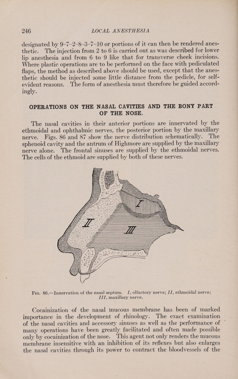 designated by 9-7-2-8-3-7-10 or portions of it can then be rendered anes¬ thetic. The injection from 2 to 6 is carried out as was described for lower lip anesthesia and from 6 to 9 like that for transverse cheek incisions. Where plastic operations are to be performed on the face with pediculated flaps, the method as described above should be used, except that the anes¬ thetic should be injected some little distance from the pedicle, for self- evident reasons. The form of anesthesia must therefore be guided accord¬ ingly. OPERATIONS ON THE NASAL CAVITIES AND THE BONY PART OF THE NOSE. The nasal cavities in their anterior portions are innervated by the ethmoidal and ophthalmic nerves, the posterior portion by the maxillary nerve. Figs. 86 and 87 show the nerve distribution schematically. The sphenoid cavity and the antrum of Highmore are supplied by the maxillary nerve alone. The frontal sinuses are supplied by the ethmoidal nerves. The cells of the ethmoid are supplied by both of these nerves. Fig. 86.—Innervation of the nasal septum. I, olfactory nerve; II, ethmoidal nerve; III, maxillary nerve. Cocainization of the nasal mucous membrane has been of marked importance in the development of rhinology. The exact examination of the nasal cavities and accessory sinuses as well as the performance of many operations have been greatly facilitated and often made possible only by cocainization of the nose. This agent not only renders the mucous membrane insensitive with an inhibition of its reflexes but also enlarges the nasal cavities through its power to contract the bloodvessels of the