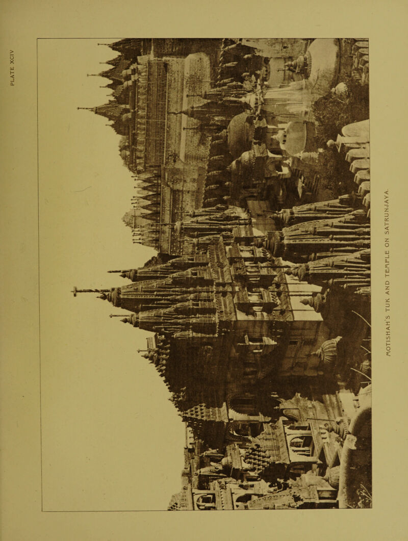 /A0T1SHAH S TUK AND TE/APLE ON SATKUNJAYA.