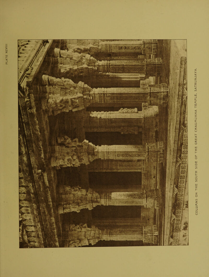 COLUMNS ON THE SOUTH SIDE OF THE GREAT CHAU/^UKHA TEAFLE, SATRUNJAYA.