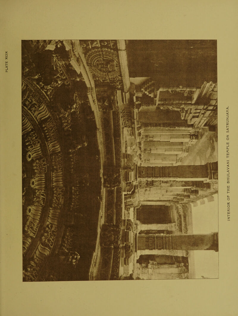 INTERIOR OF THE BHULAVAN! TEAFLE ON SATRUNJAYA.