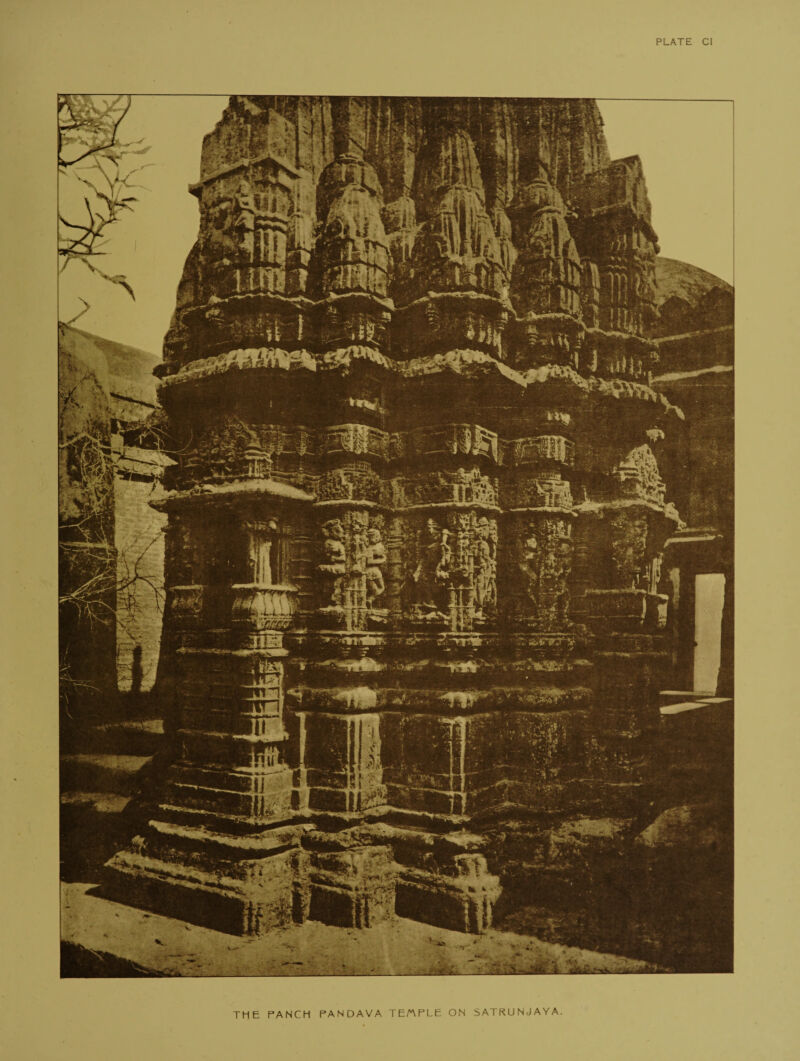 .-Ls-ia. THE PANCH PANDAVA TE/APLE ON SATRUNJAYA