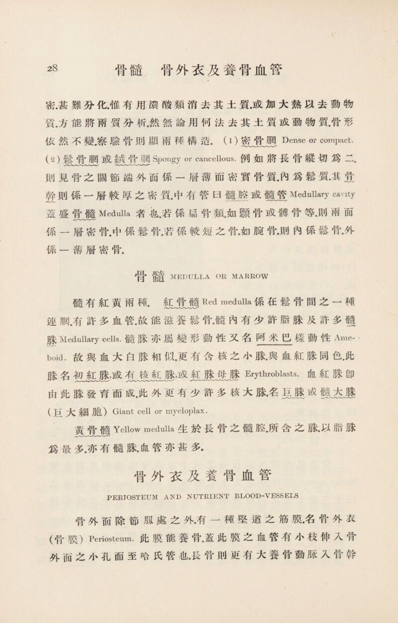骨髓骨外衣及養骨血管 密.甚難分化.惟有用濃酸類消去其土質.或加大熱以去動物 質.方能將雨質分析。然無論用何法去其土質或動物質.骨形 依然不變.察驗骨則顯雨稀構造。（1)密骨胴Dense Oi* compact. ( 2 )鬆骨胴或練骨網Spongy or cancellous.例如將長骨縱切爲二. 則見骨之關節端外面係一層薄而密實骨質.內爲鬆質•其赏 幹則係一層較厚之密質.中有管曰髓腔或髓管Medullary cavity 蓋盛Medulla者也^若係扁骨類3如顋骨或餺骨等,則兩面 係一層密骨.中係鬆骨.若係較短之骨9如腕骨•則內係鬆骨身 係一薄層密骨. 骨髓 MEDULLA OR MARROW 髓有紅黃兩種•紅骨髓Red medulla係在鬆骨間之一種 連網.有許多血管，故能滋養鬆骨《髓內有少許脂脒及許多體 P； Medullary cells.髓脒亦屬變形動性又名阿米巴樣動性Ame¬ boid. 故與血大白脒相似.更有含核之小脒属血紅脒同色，此 脒名初紅脒，或有核紅脒，或紅脒母脒Erytli—ts.血紅脒卽 由此脒發育而成，此外更有少許多核大滕•名星麗或iUiB (巨大細月包)Giant cell or rayeloplax. 黃骨髓Yellow medulla生於長骨之髓腔8所含之脉•以脂脉 爲最多。亦有髓脒》血管亦甚多. 骨外衣及養骨血管 PERIOSTEUM AJJD NUTRIENT BLOOD-VESSELS 骨外面除節脰處之外•有一種堅遒之筋脫•名骨外衣 (骨膜）Periosteum•此膜能養骨8蓋此膜之血管有小枝伸入骨 外面之小孔而至哈氏管也•長骨則更有大養骨動豚入骨幹