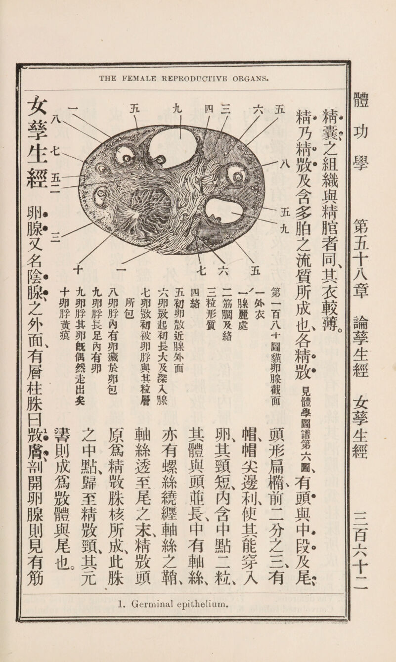 功學 第五十八章論孳生經女孳生經 二百六十二 MB I T 精囊之組織與精腊者同其衣較薄 M-乃靜汾及含多胎之流質所成I各撕贤II譜第六有M-與屯％及岛 頭形扁橢前二分之三有 帽、帽尖邊狐使其能穿人 卵、其頸短、內含中點二钇 其體與頭並長、中有軸絲、 亦有螺絲繞經軸絲之1 軸絲透至尾之尤精敖頭 原爲精敕姝核所成、此姝 之中默歸至精数鼠其元 響則成爲数體與尾也 第一百八十圖貓卵腺截面 /|外衣 /I腺麗處 二筋膶及絡 三粒形質 四絡 五初卵散近腺外面 六卵賧起初長大及深人腺 七卵散初被卵脬與其粒餍 所包 八卵脬內有於卵包 九卵脖長足內有卵 九卵脖其卵旣偶然走出矣 十卯脬黃痕 女孳生經.卿膨又名，#、之外鼠有餍柱姝曰辦«?剖開卵腺則見有笟 th al