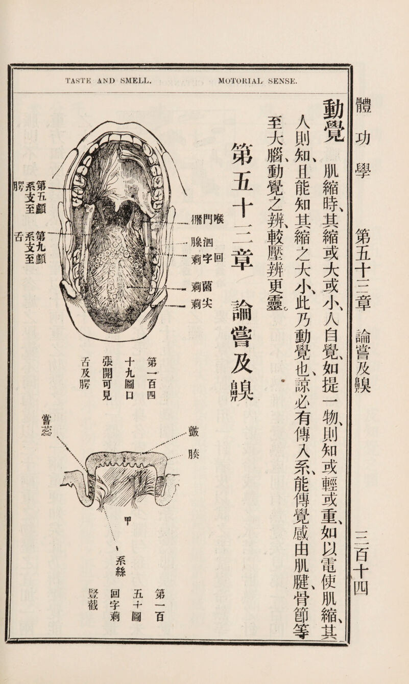 TASTE AND SMELL. MOTOHIAL SENSE. 動覺肌縮時、其縮或大或小、人自覺、如提一物、則知或輕或重、如以電使肌縮、其 人則知且能知其縮之大小此乃動覺也諫必有傳入系能傳覺感由肌腱骨節等 至大獻動覺之规較壓辨更氣 第五十三章論嘗及齅 回 泗字薗尖 腺箣莉箣 颤腠 第I百四 十九圖口 張開可見 舌及腭 甲 第五顱第九顱 系支至 系支至 腭 舌 嘗蕊 系絲 第一百 五+圖 回字莉 豎截 體功學 第五十三章論嘗及糗 三百十四 ^il^^^iBiBii^iliiBBBiiiiHB^^iiiii-laluiliililiiiliiiBiiiBii-^l^lipMinii-lllllBZBii- --- ---./•_