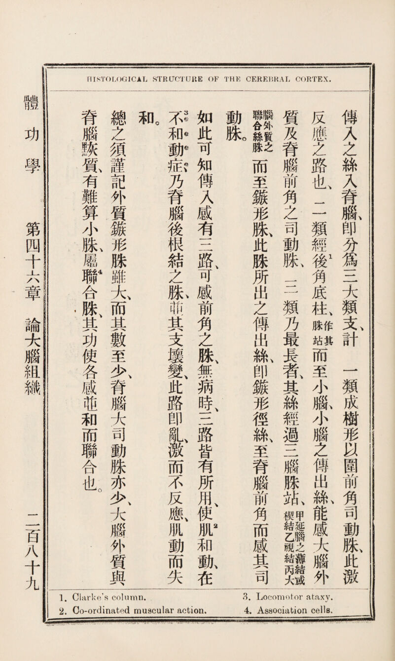 2. Co-ordinated muscular action. 4. Association cells. HISTOLOGICAL STRUCT OK E OF THE CEREBRAL CORTEX. 反應之路也二類經#1角底槪_祕而至小亂小腦之傳出l能威大腦外 質及脊腦前角之司動I三類乃最長者、其絲經過三腦脒SISIII 311而至鏃形滕、此跦所出之傳出龜卽鏃形徑絲、至脊腦前角而威其司 如此可知傳入感有三路、可威前角之腺、無病時、三路皆有所用、使fl2和亂在 3©❺®ev 、 、 、 \ 不和動症乃脊腦後根結之姝萌其支壞變此路卽亂激而不反應肌動而失 0 D 禾 總之須謹記外質鏃形脒雖大而其數至少、脊腦大司動姝亦少、大腦外質與 脊腦詼i有難算小I屬黻合姝、其功使各感萌和而聯合也。 傳入之絲入脊1卽分爲三大類支、計一類成樹形以圍前角司動默此激 —1 ill ills ISJnDll_i¥.lTlI—Hu--— ■ --r-Tr-B ! -- 「.t_.llrT31mTldnrrBfnfnrw~nm1r—■aI- - ... liQllBlia=lIWMIHl«二■■■■■■画■ lB 體功學 第四十六章論大腦組織 二百八十九