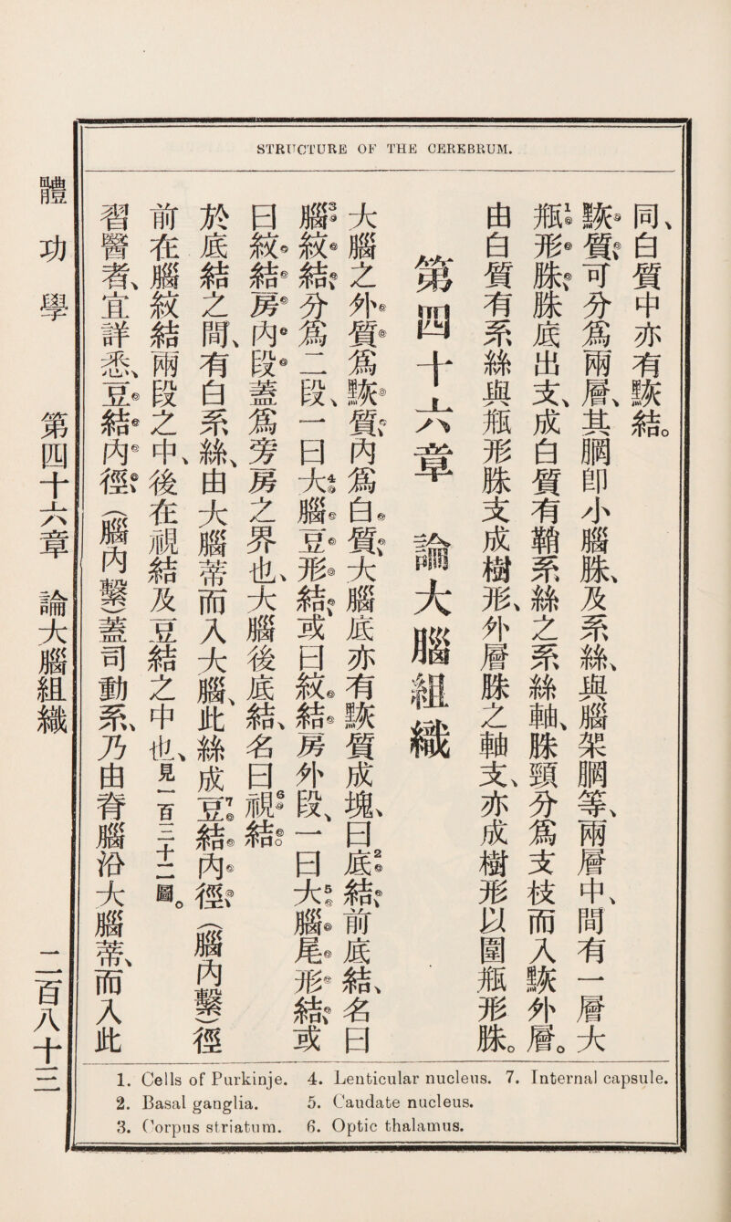 習 醫 者、 宜 詳 悉、 豆杉 結@ 內珍 徑？ m 內 前 在 腦 紋 兩 VX 之 於 底 結 之 間、 有 白 系 蓋 司 動 秦、 乃 由 脊 沿 大 腦 蒂、 而 入 此 中、絲 後由 在大 靈腦 及而 豆入 結大 之腦、 中此 也、絲 5成 百豆7@ I結⑦ 二内® 圖。徑? m 內 徑 日腦】大 紋®叙®腦 帶結？之 房◎分外◎ 内&爲齋 段◎二爲 蓋段 爲一質 旁曰內 房大t爲 之腦@白© 界豆◎質: 也、形◎ 9c 头結、◎腦 腦或底 後曰亦 /氏紋@有 結、結◎黒灰 名房質 曰外成 祕段、藏 結S —白 B mi 大！ /fe 腦@前 尾◎底 砂結、 綠名 或曰 第 四 早 論 大 腦 組 織 由 白 質 有 系 絲 M M 形 姝 支 成 樹 形、 外 層 腺 之 軸 支、 亦 成 樹 形 以 圍 瓶 形 姝。 瓶1@，同、 知蠢白 姝?可質 ft务中 底瀹亦 出兩有 支、層、詼 成其結。 白月罔 質卽 有小 鞘腦 系姝、 絲及 之系 系絲、 絲與 軸、腦 跦架 頸 爲 支 枝 而 胴 等、 兩 層 中、 間 入有 蠢灰一 外層 層。大 1. Cells of Purkinje. 4. Lenticular nucleus. 7. Internal capsule. 2. Basal ganglia. 5. Caudate nucleus. 體功學 第四十六章論大腦組織 二百八十三