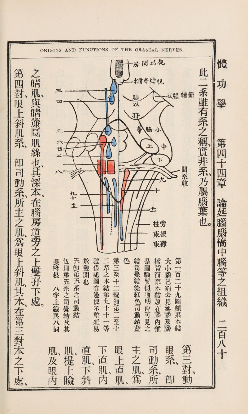 此二系雖有系之稱實非系乃屬腦葉也 聞系紋 S 笫I百二十九圖顱系水結 大+腦巳割去見延膦及腦 橋^面系本結原在腦內惟 是圖K質似通明俾可見之 結司覺結染紅色司動結藍 色 第三至十二號卽第三至十 二系之本結第九十十一等 號僅記圖右邊使不繫雜易 «觀閲也 五卽第五系之司動結 伍即第五系之司覺結及其 長降根八字上線與八同 之睛肌與睛簾圜肌絲也其深本在腦房道旁之上雙孖下處 第四對眼上斜肌策卽司動策所主之肌、爲眼h斜乳其本、在第一 一 第三對動 眼茅卽 司動氣所 主之队爲 眼上直m, 下直肌、內 直肌、下斜 1提上瞼 I及眼内 \ 一對本之下處 體功學 第四十四章論延腦腦槁中腦等之組織二百八十