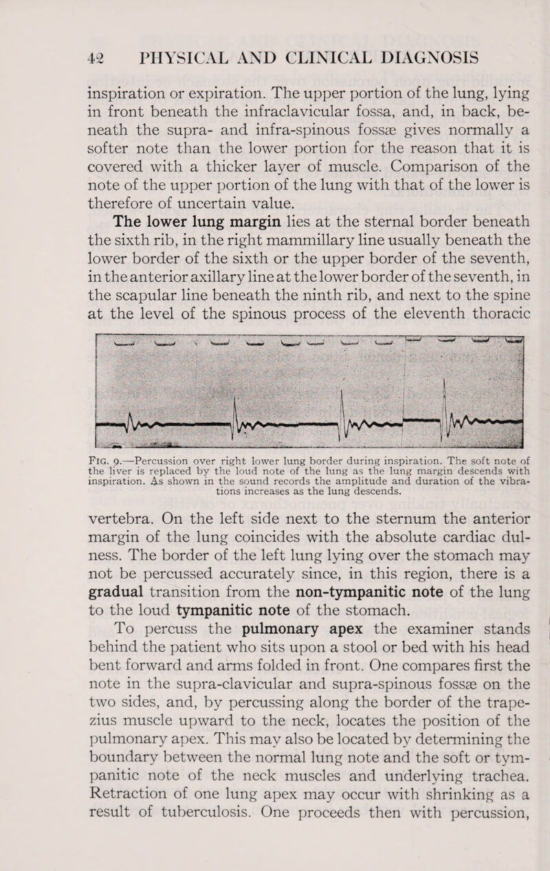 inspiration or expiration. The upper portion of the lung, lying in front beneath the infraclavicular fossa, and, in back, be¬ neath the supra- and infra-spinous fossae gives normally a softer note than the lower portion for the reason that it is covered with a thicker layer of muscle. Comparison of the note of the upper portion of the lung with that of the lower is therefore of uncertain value. The lower lung margin lies at the sternal border beneath the sixth rib, in the right mammillary line usually beneath the lower border of the sixth or the upper border of the seventh, in the anterior axillary line at the lower border of the seventh, in the scapular line beneath the ninth rib, and next to the spine at the level of the spinous process of the eleventh thoracic Fig. 9.—Percussion over right lower lung border during inspiration. The soft note of the liver is replaced by the loud note of the lung as the lung margin descends with inspiration. As shown in the sound records the amplitude and duration of the vibra¬ tions increases as the lung descends. vertebra. On the left side next to the sternum the anterior margin of the lung coincides with the absolute cardiac dul- ness. The border of the left lung lying over the stomach may not be percussed accurately since, in this region, there is a gradual transition from the non-tympanitic note of the lung to the loud tympanitic note of the stomach. To percuss the pulmonary apex the examiner stands behind the patient who sits upon a stool or bed with his head bent forward and arms folded in front. One compares first the note in the supra-clavicular and supra-spinous fossse on the two sides, and, by percussing along the border of the trape¬ zius muscle upward to the neck, locates the position of the pulmonary apex. This may also be located by determining the boundary between the normal lung note and the soft or tym¬ panitic note of the neck muscles and underlying trachea. Retraction of one lung apex may occur with shrinking as a result of tuberculosis. One proceeds then with percussion,