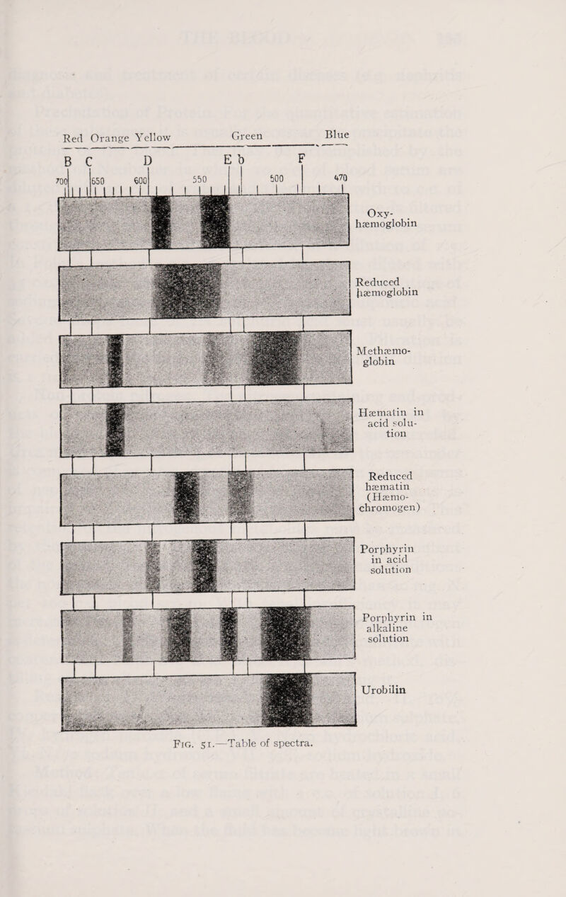 Red Orange Yellow Green Blue 700 650 600 550 600 J. ill J L .LLL I Mill L ,,1_1 L Oxy- hsemoglobin Reduced {lsemoglobin Methiemo- globin Hsematin in acid solu¬ tion Reduced lnematin (tkmo- chroraogen) Porphyrin in acid solution Porphyrin in alkaline solution Urobilin Fig. si.—Table of spectra
