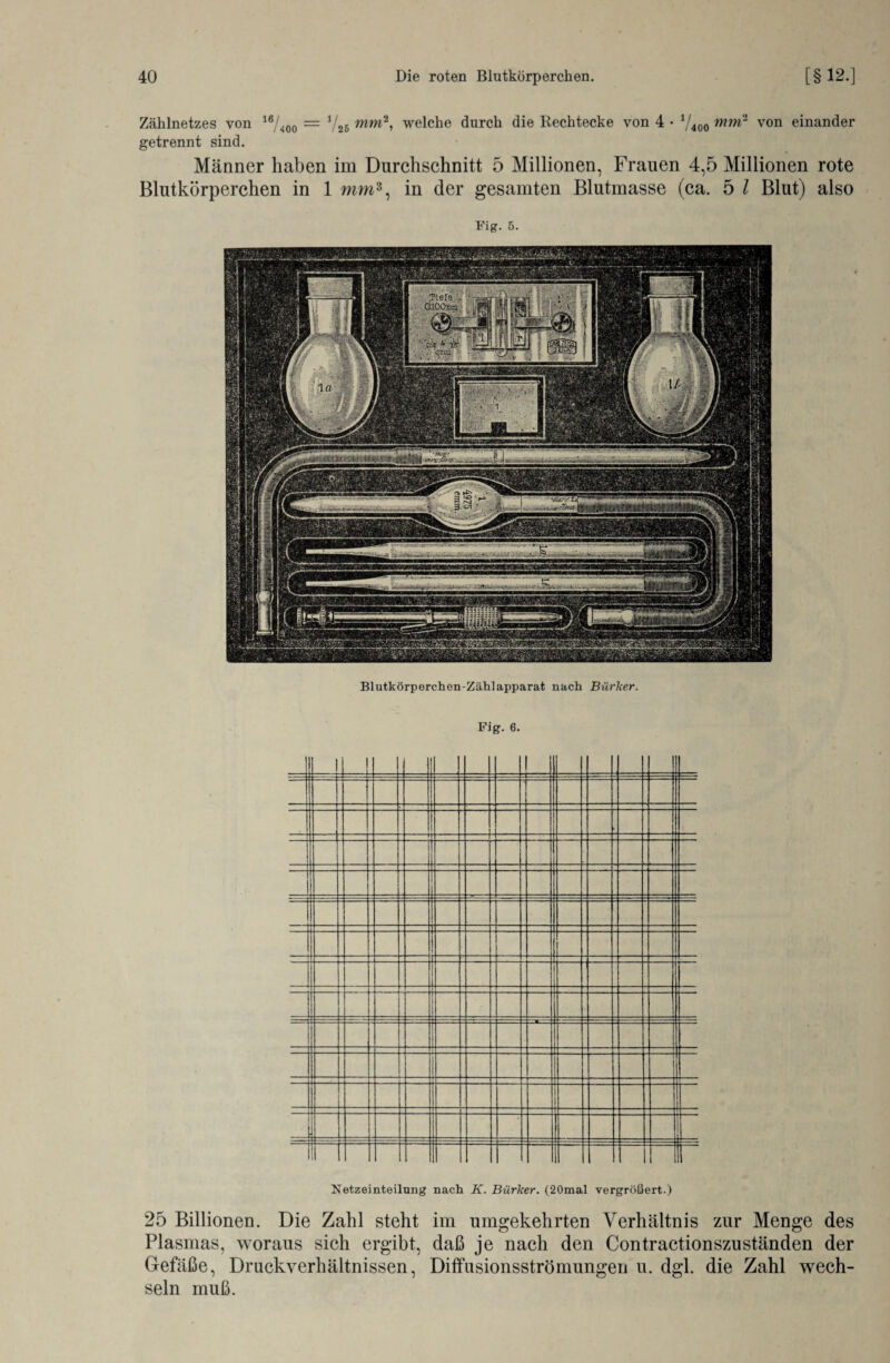 Z<ählnetzes von 16/400 = V25 mm2> welche durch die Rechtecke von 4 • 7400 mm2 von einander getrennt sind. Männer haben im Durchschnitt 5 Millionen, Frauen 4,5 Millionen rote Blutkörperchen in 1 mm3, in der gesamten Blutmasse (ca. 5 l Blut) also Fig. 5. Blutkörperchen-Zählapparat nach Bürlcer. Fig. 6. Netzeinteilung nach K. Biirker. (20mal vergrößert.) 25 Billionen. Die Zahl steht im umgekehrten Verhältnis zur Menge des Plasmas, woraus sich ergibt, daß je nach den Contractionszuständen der Gefäße, Druckverhältnissen, Diffusionsströmungen u. dgl. die Zahl wech¬ seln muß.