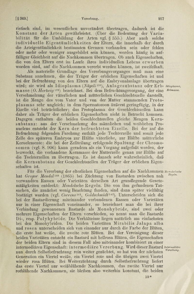 ristisch sind, im wesentlichen unverändert übertragen, dadurch ist die Konstanz der Arten gewährleistet. (Über die Bedeutung der Varia¬ bilität für die Umbildung der Arten vgl. § 355.) Aber auch solche individuelle Eigentümlichkeiten der Eltern, die innerhalb der durch die Arteigentümlichkeit bestimmten Grenzen vorhanden sein oder fehlen oder mehr oder weniger ausgebildet sein können, werden häufig in auf¬ fälliger Gleichheit auf die Nachkommen übertragen. Ob auch Eigenschaften, die von den Eltern erst im Laufe ihres individuellen Lebens erworben worden sind, auf die Nachkommen vererbt werden können, ist zweifelhaft. Als materielle Grundlage des Vererbungsvorganges muß man eine Substanz annehmen, die der Träger der erblichen Eigenschaften ist und bei der Befruchtung von den Eltern auf die Embryonalanlage übertragen wird; sie wird als Idioplasma (Nägeli138), Anlagesubstanz oder Erb- Idioplasma, masse (0. Hertioig139) bezeichnet. Bei dem Befruehtungsvorgang, der eine Erbmasse. Verschmelzung der väterlichen und mütterlichen Geschlechtszelle darstellt, ist die Menge des vom Vater und von der Mutter stammenden Proto¬ plasmas sehr ungleich: in dem Spermatozoon äußerst geringfügig, in der Eizelle viel beträchtlicher; das Protoplasma der Geschlechtszellen kann daher als Träger der erblichen Eigenschaften nicht in Betracht kommen. Dagegen enthalten die beiden Geschlechtszellen gleiche Mengen Kern¬ substanz: aus der Verschmelzung des männlichen und weiblichen Pro- nucleus entsteht der Kern der befruchteten Eizelle. Bei der auf die Befruchtung folgenden Furchung enthält jede Tochterzelle und somit jede Zelle des späteren Embryos zur Hälfte väterliche, zur Hälfte mütterliche Kenielemente: die bei der Zellteilung erfolgende Spaltung der Chromo¬ somen (vgl. S. 906) kann geradezu als ein Vorgang aufgefaßt werden, der bezweckt, die vorhandene Kernmasse der Mutterzelle genau zur Hälfte auf die Tochterzellen zu übertragen. Es ist danach sehr wahrscheinlich, daß die Kern Substanz der Geschlechtszellen der Träger der erblichen Eigen¬ schaften ist. Für die Vererbung der elterlichen Eigenschaften auf die Nachkommen m endel sehe hat Gregor Mendel140 (1865) bei Züchtung von Bastarden zwischen nah verwandten Rassen oder Varietäten derselben Art grundlegende Gesetz¬ mäßigkeiten entdeckt: Mendels che Regeln. Die von ihm gefundenen Tat¬ sachen, die zunächst wenig Beachtung fanden, sind dann später vielfältig bestätigt worden (vgl. CorrensU1, Goldschmidt142). Unterscheiden sich die bei der Bastardierung miteinander verbundenen Rassen oder Varietäten nur in einer Eigenschaft voneinander, so bezeichnet man die bei ihrer Verbindung gewonnenen Bastarde als Monohybride, sind zwei oder mehrere Eigenschaften der Eltern verschieden, so nennt man die Bastarde Di-, resp. Polyhybride. Die Verhältnisse liegen natürlich am einfachsten bei den Monohybriden. Die beiden Varietäten Mirabilis Jalapa alba und rosea unterscheiden sich von einander nur durch die Farbe der Blüten, die erste hat weiße, die zweite rote Blüten. Bei der Vereinigung dieser beiden Varietäten entsteht ein Bastard mit hellrosa Blüten, die Eigenschaften der beiden Eltern sind in diesem Fall also miteinander kombiniert zu einer intermediären Eigenschaft: intermediäre Vererbung. Wird dieser Bastard Intermediäre nun durch Selbstbefruchtung rein weiter gezüchtet, so hat von der nächsten Vererbung- Generation ein Viertel weiße, ein Viertel rote und die übrigen zwei Viertel wieder rosa Blüten. Bei Weiterzüchtung durch Selbstbefruchtung liefert das erste Viertel nur weißblühende Nachkommen, das zweite Viertel nur rotblühende Nachkommen, sie bleiben also weiterhin konstant, die beiden 59*