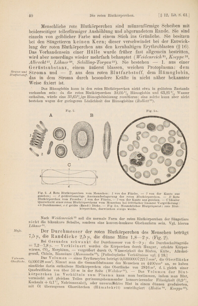 Stroma und Bhitfnrbstoff. Maße. Volumen. Oberfläche. Menschliche rote Blutkörperchen sind münzenförmige Scheiben mit beiderseitiger tellerförmiger Aushöhlung und abgerundetem Rande. Sie sind einzeln von gelblicher Farbe und einem Stich ins Grünliche. Sie besitzen bei den Säugetieren keinen Kern; dieser verschwindet bei der Entwick¬ lung der roten Blutkörperchen aus den kernhaltigen Erythroblasten (§16). Das Vorhandensein einer Hülle wurde früher fast allgemein bestritten, wird aber neuerdings wieder mehrfach behauptet (Weidenreich Koeppe Albrecht^^^ LöhnerSchilling-Torgau^^). Sie bestehen — 1. aus einer Gerüstsubstanz, einem äußerst blassen, weichen Protoplasma: dem Stroma und — 2. aus dem roten Blutfarbstoff, dem Hämoglobin, das in dem Stroma durch besondere Kräfte in nicht näher bekannter Weise fixiert ist. ' Das Hämoglobin kann in den roten Blutkörperchen nicht etwa in gelöstem Zustande vorhanden sein: da die roten Blutkörperchen 32,05% Hämoglobin und 63,21 °/o Wasser enthalten, würde eine 33,657oig‘e Hämoglobinlösung resultieren; eine solche kann aber nicht bestehen wegen der geringeren Löslichkeit des Hämoglobins {RolletL^). Fig. 2. Fig. 2«.. Fig. 2. A Eote Blutkörperchen vom Menschen: 1 vou der Fläche, — 2 von der Kante ans gesehen; — 3 geldrollenartige Aneinanderlagerung der roten Blutkörperchen. — B Eote Blutkörperchen vom Frosche: 1 von der Fläche, — 2 von der Kante aus gesehen. — (7Idealer Querschnitt eines roten Blutkörperchens vom Menschen hei öOOOfacher linearer Vergrößerung : n 6 Durchmesser, cd größte (Band-) Dicke.— Fig. 2 n. Menschliches Blutpräparat: rote Blut¬ körperchen, dazwischen einige weiße. Weidenreich soll die normale Form der roten Blutkörperchen der Säugetiere nicht die bikonkave Scheibe, sondern eine konvex-konkave Glockenform sein. Vgl. hierzu Löhner^'-. Der Durchmesser der roten Blutkörperchen des Menschen beträgt 7,5(7., die Randdicke 2,5(7., die dünne Mitte 1,8—2 (7.. (Fig. 2). — 79 Bei Gesunden schwankt der Durchmesser von 6—9;j.; die Durchschnittsgröße — — Verkleinert werden die Körperchen durch Hunger, erhöhte Körper- warme, CO2, Morphium, — vergrößert durch 0, Wässerigkeit des Blutes, Kälte, Alkohol¬ genuß, Chinin, Blausäure {Manassein^^). [Pathologische Verhältnisse vgl. § 18.1 nnnnio^^^ Vylumen — eines Erythrocyten beträgt 0,000000072217 W, die Oberfläche 0,600128 wwr. Nimmt man die Gesamtblutmasse des Meuschen zu 4400 cm an so haben sämtliche dann enthaltene Blutkörperchen eine Oberfläche von 2816d i o-Jeich einer Quadratfläche von über 50 w in der Seite {Welcker‘^% — Das Volumen ^der Blut¬ körperchen im Verhältnis zum Plasma kann man bestimmen, indem man Blut, vermischt mit gleichen Teilen gerinnungshemmender konservierender Flüssigkeit (0,9 7,, Kochsalz + 0,1 /o Natrmmoxalat), oder unvermigchtes Blut in einem dünnen graduierten, mit 01 überzogenen Glasröhrchen (Hämatokrit) zentrifugiert (Iledin^^ Koe2)pe^^)