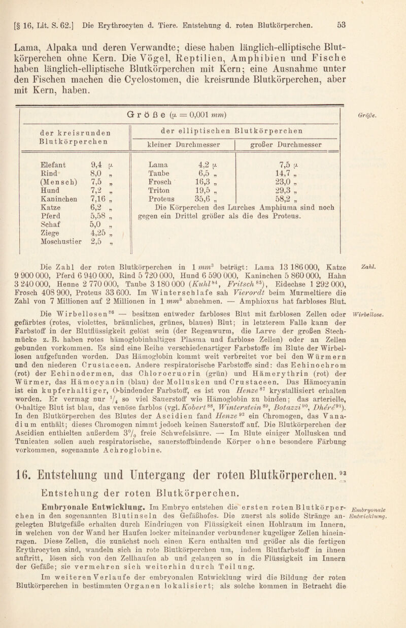 Lama, Alpaka und deren Verwandte; diese haben länglich-elliptische Blut¬ körperchen ohne Kern. Die Vögel, Reptilien, Amphibien und Fische haben länglich-elliptische Blutkörperchen mit Kern; eine Ausnahme unter den Fischen machen die Cyclostomen, die kreisrunde Blutkörperchen, aber mit Kern, haben. Größe (p. = = 0,001 mm) der kreisrunden der elliptischen Blutkörperchen Blutkörperchen kleiner Durchmesser großer Durchmesser Elefant 9,4 [j. Lama 4,2 p. 7,5 Rind 8,0 „ Taube 6,5 „ 14,7 „ (Mensch) 7.5 „ Frosch 16,3 „ 23,0 „ Hund 7,2 „ Triton 19,5 „ 29,3 „ Kaninchen 7,16 „ Proteus 35,6 „ 58,2 „ Katze 6,2 „ Die Körperchen des Lurches Amphiuma sind noch Pferd 5,58 „ gegen ein Drittel größer als die des Proteus. Schaf 5,0 „ Ziege 4,25 „ Moschustier 2,5 „ Die Zahl der roten Blutkörperchen in \mm^ beträgt: Lama 13 186000, Katze 9 900 000, Pferd 6 940 000, Rind 5 720 000, Hund 6 590 000, Kaninchen 5 860 000, Hahn 3 240 000, Henne 2 770 000, Taube 3180 000 {Kuhl^'^^ Fritsch^^)^ Eidechse 1 292 000, Frosch 408 900, Proteus 33 600. Im Winterschlafe sah Vierordt beim Murmeltiere die Zahl von 7 Millionen auf 2 Millionen in 1 mm^ abnehmen. — Amphioxus hat farbloses Blut. Die Wirbellosen®® — besitzen entweder farbloses Blut mit farblosen Zellen oder gefärbtes (rotes, violettes, bräunliches, grünes, blaues) Blut; in letzterem Palle kann der Farbstoff in der Blutflüssigkeit gelöst sein (der Regenwurm, die Larve der großen Stech¬ mücke z. B. haben rotes hämoglobinhaltiges Plasma und farblose Zellen) oder an Zellen gebunden Vorkommen. Es sind eine Reihe verschiedenartiger Farbstoffe im Blute der Wirbel¬ losen aufgefunden worden. Das Hämoglobin kommt weit verbreitet vor bei den Würmern und den niederen Crustaceen. Andere respiratorische Farbstoffe sind: das Echinochrom (rot) der Echinodermen, das Chlorocruorin (grün) und Hämerythrin (rot) der Würmer, das Hämocyanin (blau) der Mollusken und Crustaceen. Das Hämocyanin ist ein kupferhaltiger, 0-bindender Farbstoff, es ist von Henze^'^ krystallisiert erhalten worden. Er vermag nur 7^ so viel Sauerstoff wie Hämoglobin zu binden; das arterielle, 0-haltige Blut ist blau, das venöse farblos (vgl.WinterBotazzi'^^, DherP^). In den Blutkörperchen des Blutes der Ascidien fand Henze^'^ ein Chromogen, das Vana¬ dium enthält; dieses Chromogen nimmt jedoch keinen Sauerstoff auf. Die Blutkörperchen der Ascidien enthielten außerdem 3% freie Schwefelsäure. —■ Im Blute einiger Mollusken und Tunicaten sollen auch respiratorische, sauerstoffbindende Körper ohne besondere Färbung Vorkommen, sogenannte Achroglobine. 16. Entstehung und Untergang der roten Blutkörperchen. Entstehung der roten Blutkörperchen. Embryonale Entwicklung, Im Embryo entstehen die ersten roten Blutkörper- chen in den sogenannten Blutinseln des Gefäßhofes. Die zuerst als solide Stränge an¬ gelegten Blutgefäße erhalten durch Eindringen von Flüssigkeit einen Hohlraum im Innern, in welchen von der Wand her Haufen locker miteinander verbundener kugeliger Zellen hinein¬ ragen. Diese Zellen, die zunächst noch einen Kern enthalten und größer als die fertigen Erythrocyten sind, wandeln sich in rote Blutkörperchen um, indem Blutfarbstoff in ihnen auftritt, lösen sich von den Zellhaufen ab und gelangen so in die Flüssigkeit im Innern der Gefäße; sie vermehren sich weiterhin durch Teilung. Im weiteren Verlaufe der embryonalen Entwicklung wird die Bildung der roten Blutkörperchen in bestimmten Organen lokalisiert; als solche kommen in Betracht die Größe. Zahl. Wirbellose. Embrxjonale Enixvicklung.