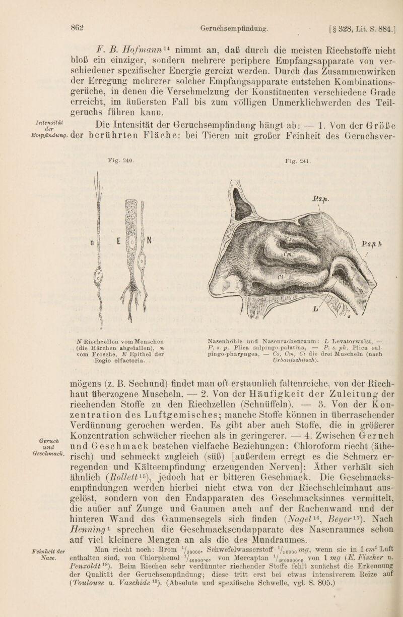 Intensität der Empfindung Geruch und Geschmack. Feinheit der Nase. F. B. Hofmann^^ nimmt an, daß durch die meisten Riechstoffe nicht bloß ein einziger, sondern mehrere periphere Empfangsapparate von ver¬ schiedener spezifischer Energie gereizt werden. Durch das Zusammenwirken der Erregung mehrerer solcher Empfangsapparate entstehen Kombinations¬ gerüche, in denen die Verschmelzung der Konstituenten verschiedene Grade erreicht, im äußersten Fall bis zum völligen Unmerklichwerden des Teil¬ geruchs führen kann. Die Intensität der Geruchsempfindung hängt ab: — 1. Von der Größe der berührten Fläche: bei Tieren mit großer Feinheit des Geruchsver- Fig. 240. Fig. 241. W Riechzellen vom Menschen (die Härchen abgeiallen), n vom Frosche, E Epithel der Regio olfactoria. Nasenhöhle und Nasenrachenraum: L Levatorwulst, — P. s p. Plica salpingo-palatina, — P. s. ph. Plica sal- pingo-pharyngea, — Cs, Cm, Ci die drei Muscheln (nach ürbantschitsch). mögens (z. B. Seehund) findet man oft erstaunlich faltenreiche, von der Riech¬ haut überzogene Muscheln. — 2. Von der Häufigkeit der Zuleitung der riechenden Stoffe zu den Riechzellen (Schnüffeln). — 3. Von der Kon¬ zentration des Luftgemisches; manche Stoffe können in überraschender Verdünnung gerochen werden. Es gibt aber auch Stoffe, die in größerer Konzentration schwächer riechen als in geringerer. — 4. Zwischen Geruch und Geschmack bestehen vielfache Beziehungen: Chloroform riecht (äthe¬ risch) und schmeckt zugleich (süß) [außerdem erregt es die Schmerz er¬ regenden und Kälteempfindung erzeugenden Nerven]; Äther verhält sich ähnlich (Rollett^^)^ jedoch hat er bitteren Geschmack. Die Geschmacks¬ empfindungen werden hierbei nicht etwa von der Riechschleimhaut aus¬ gelöst, sondern von den Endapparaten des Geschmacksinnes vermittelt, die außer auf Zunge und Gaumen auch auf der Rachenwmnd und der hinteren Wand des Gaumensegels sich finden {NageF^^ Beger^^). Nach Henning^ sprechen die Geschmacksendapparate des Nasenraumes schon auf viel kleinere Mengen an als die des Mundraiimes. Man riecht noch; Brom ^/sqooo) Schwefelwasserstoff Vsodoo wenn sie in 1 cm^ Luft enthalten sind, von Chlorphenol V46ooq''o> von Mercaptan b^4(5ooooono von 1 mg {E. Fischer u. Fenzoldt'^^). Beim Eiechen sehr verdünnter riechender Stoffe fehlt zunächst die Erkennung der Qualität der Geruchsempfindung; diese tritt erst bei etwas intensiverem Reize auf {Toulouse u. Vaschide'^'^). (Absolute und spezifische Schwelle, vgl. S. 805.)