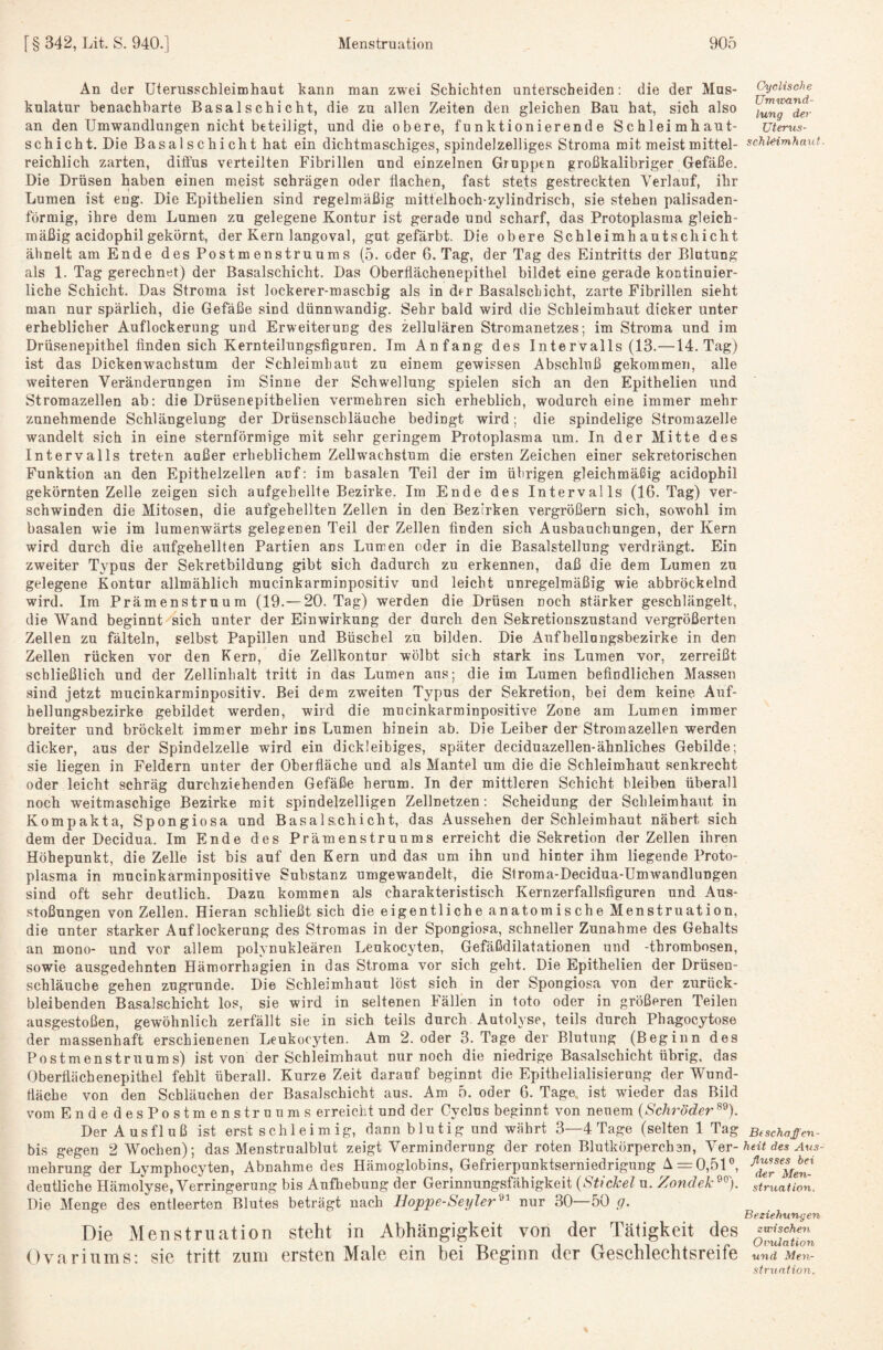 An der üterusschleimhaot kann man zwei Schichten unterscheiden: die der Mus¬ kulatur benachbarte Basalschicht, die zu allen Zeiten den gleichen Bau hat, sich also an den Umwandlungen nicht beteiligt, und die obere, funktionierende Schleimhaut- schicht. Die Basalschicht hat ein dichtmaschiges, spindelzelliges Stroma mit meist mittel¬ reichlich zarten, diffus verteilten Fibrillen und einzelnen Gruppen großkalibriger Gefäße. Die Drüsen haben einen meist schrägen oder flachen, fast stets gestreckten Verlauf, ihr Lumen ist eng. Die Epithelien sind regelmäßig mittelhoch-zylindrisch, sie stehen palisaden¬ förmig, ihre dem Lumen zu gelegene Kontur ist gerade und scharf, das Protoplasma gleich¬ mäßig acidophil gekörnt, der Kern langoval, gut gefärbt. Die obere Schleimhautschicht ähnelt am Ende des Postmenstruums (5. oder 6. Tag, der Tag des Eintritts der Blutung als 1. Tag gerechnet) der Basalschicht. Das Oberflächenepithel bildet eine gerade kontinuier¬ liche Schicht. Das Stroma ist lockerer-mascbig als in der Basalschicht, zarte Fibrillen sieht man nur spärlich, die Gefäße sind dünnwandig. Sehr bald wird die Schleimhaut dicker unter erheblicher Auflockerung und Erweiterung des zellulären Stromanetzes; im Stroma und im Drüsenepithel finden sich Kernteilungsflguren. Im Anfang des Intervalls (13.—14. Tag) ist das Dickenwachstum der Schleimhaut zu einem gewissen Abschluß gekommen, alle weiteren Veränderungen im Sinne der Schwellung spielen sich an den Epithelien und Stromazellen ab: die Drüsenepithelien vermehren sich erheblich, wodurch eine immer mehr zunehmende Schlängelung der Drüsenschläuche bedingt wird; die spindelige Stromazelle wandelt sich in eine sternförmige mit sehr geringem Protoplasma um. In der Mitte des Intervalls treten außer erheblichem Zellwachstum die ersten Zeichen einer sekretorischen Funktion an den Epithelzellen auf: im basalen Teil der im übrigen gleichmäßig acidophil gekörnten Zelle zeigen sich aufgehellte Bezirke. Im Ende des Intervalls (16. Tag) ver¬ schwinden die Mitosen, die aufgehellten Zellen in den Bezirken vergrößern sich, sowohl im basalen wie im lumenwärts gelegenen Teil der Zellen finden sich Ausbauchungen, der Kern wird durch die aufgehellten Partien ans Lumen oder in die Basalstellung verdrängt. Ein zweiter Typus der Sekretbildung gibt sich dadurch zu erkennen, daß die dem Lumen zu gelegene Kontor allmählich mucinkarminpositiv und leicht unregelmäßig wie abbröckelnd wird. Ira Prämenstruum (19.— 20. Tag) werden die Drüsen noch stärker geschlängelt, die Wand beginnt^äich unter der Einwirkung der durch den Sekretionszustand vergrößerten Zellen zu fälteln, selbst Papillen und Büschel zu bilden. Die Aufhellungsbezirke in den Zellen rücken vor den Kern, die Zellkontor wölbt sich stark ins Lumen vor, zerreißt schließlich und der Zellinhalt tritt in das Lumen ans; die im Lumen befindlichen Massen sind jetzt mucinkarminpositiv. Bei dem zweiten Typus der Sekretion, bei dem keine Auf¬ hellungsbezirke gebildet werden, wird die mucinkarminpositive Zone am Lumen immer breiter und bröckelt immer mehr ins Lumen hinein ab. Die Leiber der Stromazellen werden dicker, aus der Spindelzelle wird ein dickleibiges, später deciduazellen-ähnliches Gebilde; sie liegen in Feldern unter der Oberfläche und als Mantel um die die Schleimhaut senkrecht oder leicht schräg durchziehenden Gefäße herum. In der mittleren Schicht bleiben überall noch weitmaschige Bezirke mit spindelzelligen Zellnetzen: Scheidung der Schleimhaut in Kompakta, Spongiosa und Basalschicht, das Aussehen der Schleimhaut nähert sich dem der Decidua. Im Ende des Prämenstruums erreicht die Sekretion der Zellen ihren Höhepunkt, die Zelle ist bis auf den Kern und das um ihn und hinter ihm liegende Proto¬ plasma in mucinkarminpositive Substanz umgewandelt, die Stroma-Decidua-UmAvandlungen sind oft sehr deutlich. Dazu kommen als charakteristisch Kernzerfallsfiguren und Aus¬ stoßungen von Zellen. Hieran schließt sich die eigentliche anatomische Menstruation, die unter starker Auflockerung des Stromas in der Spongiosa, schneller Zunahme des Gehalts an mono- und vor allem polynukleären Leukocyten, Gefäßdilatationen und -thrombosen, sowie ausgedehnten Hämorrhagien in das Stroma vor sich geht. Die Epithelien der Drüsen¬ schläuche gehen zugrunde. Die Schleimhaut löst sich in der Spongiosa von der zurück- bleibenden Basalschicht los, sie wird in seltenen Fällen in toto oder in größeren Teilen ausgestoßen, gewöhnlich zerfällt sie in sieh teils durch Autolyse, teils durch Phagocytose der massenhaft erschienenen Leukocyten. Am 2. oder 3. Tage der Blutung (Beginn des Postmenstruums) ist von der Schleimhaut nur noch die niedrige Basalschicht übrig, das Oberflächenepithel fehlt überall. Kurze Zeit darauf beginnt die Epithelialisierung der Wund¬ fläche von den Schläuchen der Basalschicht aus. Am 5. oder 6. Tage„ ist wieder das Bild vom EndedesPostmenstruums erreicht und der Cyclus beginnt von neuem (Schröder Der Ausfluß ist erst schleimig, dann blutig und währt 3—4 Tage (selten 1 Tag bis gegen 2 Wochen); das Menstrualblut zeigt Verminderung der roten Blutkörperchen, Ver¬ mehrung der Lymphocyten, Abnahme des Hämoglobins, Gefrierpunktserniedrigung Az=0,51'’, deutliche Hämolyse, Verringerung bis Aufhebung der Gerinnungsfähigkeit (Stichel u. Zondeh^'^). Die Menge des entleerten Blutes beträgt nach Boppe-Seyler^^ nur 30—50 g. Die Menstruation steht in Abhängigkeit von der Tätigkeit des Ovariuins: sie tritt zum ersten Male ein bei Beginn der Geschlechtsreife Cyclische Umivand- lung der üteru^- schkimhaut- B( schaffen- heit des yl«5- flusses bei der Men¬ struation. Beziehungen zwischen Ovulation und Men¬ struation..