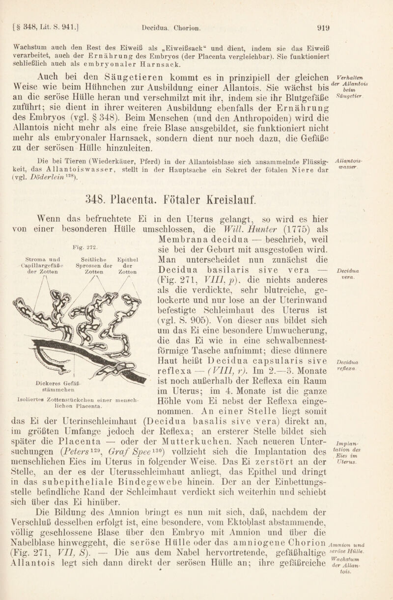 Wachstum auch den Rest des Eiweiß als „Eiw'eißsack“ und dient, indem sie das Eiweiß verarbeitet, auch der Ernährung des Embryos (der Placenta vergleichbar). Sie funktioniert schließlich auch als embryonaler Harnsack. Auch bei den Säugetieren kommt es in prinzipiell der gleichen Verhalten Weise wie beim Hühnchen zur Ausbildung einer Allantois. Sie wächst bis an die seröse Hülle heran und verschmilzt mit ihr, indem sie ihr Blutgefäße ^«.ugeuer zuführt; sie dient in ihrer weiteren Ausbildung ebenfalls der Ernährung des Embryos (vgl. § 348). Beim Menschen (und den Anthropoiden) wird die Allantois nicht mehr als eine freie Blase ausgebildet; sie funktioniert nicht mehr als embryonaler Harnsack, sondern dient nur noch dazu, die Gefäße zu der serösen Hülle hinzuleiten. Die bei Tieren (Wiederkäuer, Pferd) in der Allantoisblase sich ansammelnde Flüssig- AUantois- keit, das Allantoiswasser, stellt in der Hauptsache ein Sekret der fötalen Niere dar (vgl. Döderlein ^“®). 348. Placenta. Fötaler Kreislauf. Wenn das befruchtete Ei in den Uterus gelangt, so wird es hier von einer besonderen Hülle umschlossen, die Will. Hunter (1775) als Membrana decidua — beschrieb, weil sie bei der Geburt mit ausgestoßen wird. Man unterscheidet nun zunächst die Decidua basilaris sive vera — Deddua (Fig. 271, Vm^p). die nichts anderes als die verdickte, sehr blutreiche, ge¬ lockerte und nur lose an der Uterinwand befestigte Schleimhaut des Uterus ist (vgl. S. 905). Von dieser aus bildet sich um das Ei eine besondere Umwucherung, die das Ei wie in eine schwalbennest¬ förmige Tasche aufnimmt; diese dünnere Haut heißt Decidua capsularis sive Decidua reflexa — r). Im 2.—3. Monate ist noch außerhalb der Reflexa ein Raum im Uterus; im 4. Monate ist die ganze isoliertes Zottenstückciieu einer inensch- Höhle vom Ei uebst der Rcflcxa einge- nommen. An einer Stelle liegt somit das Ei der Uterinschleimhaut (Decidua basalis sive vera) direkt an, im größten Umfange jedoch der Reflexa; an ersterer Stelle bildet sich später die Placenta — oder der Mutterkuchen. Nach neueren Unter- im^ian- suchungen Graf Spee^^^) vollzieht sich die Implantation des menschlichen Eies im Uterus in folgender Weise. Das Ei zerstört an der utems. Stelle, an der es der Uterusschleimhaut anliegt, das Epithel und dringt in das subepitheliale Bindegewebe hinein. Der an der Einbettungs¬ stelle befindliche Rand der Schleimhaut verdickt sich weiterhin und schiebt sich über das Ei hinüber. Die Bildung des Amnion bringt es nun mit sich, daß, nachdem der Verschluß desselben erfolgt ist, eine besondere, vom Ektoblast abstammende, völlig geschlossene Blase über den Embryo mit Amnion und über die Nabelblase hinweggeht, die seröse Hülle oder das amniogene Chorion w (Fig. 271, F/i; S). — Die aus dem Nabel hervortretende, gefäßhaltige Allantois legt sich dann direkt der serösen Hülle an; ihre gefäßreiche ' tois. Stroma und Capillargefäße der Zotten n < \ Seitliche Epithel Sprossen der der Zotten Zotten ’N / Dickeres Gefäß stämmchen