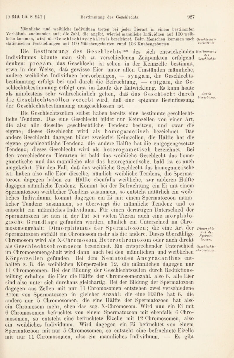 Männliche und weibliche Individuen treten bei jeder Tierart in einem bestimmten Verhältnis zueinander auf; die Zahl, die angibt, wieviel männliche Individuen auf 100 weib¬ liche kommen, wird als Geschlechtsverhältnis bezeichnet. Beim Menschen kommen nach Geschlechts- statistischen Feststellungen auf 100 Mädchengeburten rund 106 Knabengeburten. Verhältnis. Die Bestimmung des Geschlechts^ßo des sich entwickelnden Bestimmung Individuums könnte man sich zu verschiedenen Zeitpunkten erfolgend Geschlechts denken: progam, das Geschlecht ist schon in der Keimzelle bestimmt, etwa in der Weise, daß gewisse Eier unter allen Umständen männliche, andere weibliche Individuen hervorbringen, — syngam, die Geschlechts¬ bestimmung erfolgt bei und durch die Befruchtung, — epigam, die Ge¬ schlechtsbestimmung erfolgt erst im Laufe der Entwicklung. Es kann heute als mindestens sehr wahrscheinlich gelten, daß das Geschlecht durch durch die Geschlechtszellen vererbt wird, daß eine epigame Beeinflussung der Geschlechtsbestimmung ausgeschlossen ist. Die Geschlechtszellen selbst haben bereits eine bestimmte geschlecht¬ liche Tendenz. Das eine Geschlecht bildet nur Keimzellen von einer Art, die also alle dieselbe geschlechtliche Tendenz besitzen, und zwar die eigene; dieses Geschlecht wird als homogametisch bezeichnet. Das andere Geschlecht dagegen bildet zweierlei Keimzellen, die Hälfte hat die eigene geschlechtliche Tendenz, die andere Hälfte hat die entgegengesetzte Tendenz; dieses Geschlecht wird als heterogametisch bezeichnet. Bei den verschiedenen Tierarten ist bald das weibliche Geschlecht das homo¬ gametische und das männliche also das heterogametische, bald ist es auch umgekehrt. Für den Fall, daß das weibliche Geschlecht das homogametische ist, haben also alle Eier dieselbe, nämlich weibliche Tendenz, die Sperma- tozoen dagegen haben zur Hälfte ebenfalls weibliche, zur anderen Hälfte dagegen männliche Tendenz. Kommt bei der Befruchtung ein Ei mit einem Spermatozoon weiblicher Tendenz zusammen, so entsteht natürlich ein weib¬ liches Individuum, kommt dagegen ein Ei mit einem Spermatozoon männ¬ licher Tendenz zusammen, so überwiegt die männliche Tendenz und es entsteht ein männliches Individuum. Für einen derartigen Unterschied der Spermatozoen ist nun in der Tat bei vielen Tieren auch eine morpholo¬ gische Grundlage gefunden worden, nämlich ein Unterschied im Chro¬ mosomengehalt: Dimorphismus der Spermatozoen; die eine Art der Dimorpins- Spermatozoen enthält ein Chromosom mehr als die andere. Dieses überzählige Chromosom wird als X-Chromosom, Heterochromosom oder auch direkt tozoen. als Geschlechtschromosom bezeichnet. Ein entsprechender Unterschied Geschlechts- im Chromosomengehalt wird dann auch bei den männlichen und weiblichen Körperzellen gefunden. Bei dem Nematoden Ancyracanthus ent¬ halten z. B. die weiblichen Körperzellen 12, die männlichen dagegen nur 11 Chromosomen. Bei der Bildung der Geschlechtszellen durch Reduktions¬ teilung erhalten die Eier die Hälfte der Chromosomenzahl, also 6, alle Eier sind also unter sich durchaus gleichartig. Bei der Bildung der Spermatozoen dagegen aus Zellen mit nur 11 Chromosomen entstehen zwei verschiedene Arten von Spermatozoen in gleicher Anzahl: die eine Hälfte hat 6, die andere nur 5 Chromosomen, die eine Hälfte der Spermatozoen hat also ein Chromosom mehr, eben das sog. X-Chromosom. Wird nun ein Ei mit 6 Chromosomen befruchtet von einem Spermatozoon mit ebenfalls 6 Chro¬ mosomen, so entsteht eine befruchtete Eizelle mit 12 Chromosomen, also ein weibliches Individuum. Wird dagegen ein Ei befruchtet von einem Spermatozoon mit nur 5 Chromosomen, so entsteht eine befruchtete Eizelle mit nur 11 Chromosomen, also ein männliches Individuum. — Es gibt