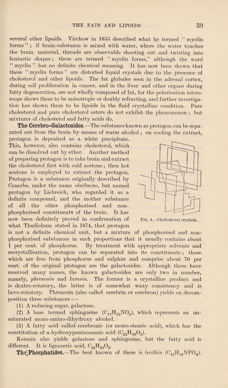 several other lipoids. Virchow in 1855 described what he termed “ myelin forms ” ; if brain-substance is mixed with water, where the water touches the brain material, threads are observable shooting out and twisting into fantastic shapes ; these are termed “ myelin forms,” although the word “ myelin ” has no definite chemical meaning. It has now been shown that these “ myelin forms ” are distorted liquid crystals due to the presence of cholesterol and other lipoids. The fat globules seen in the adrenal cortex, during cell proliferation in cancer, and in the liver and other organs during fatty degeneration, are not wholly composed of fat, for the polarisation micro¬ scope shows them to be anisotropic or doubly refracting, and further investiga¬ tion has shown them to be lipoids in the fluid crystalline condition. Pure cholesterol and pure cholesterol esters do not exhibit the phenomenon ; but mixtures of cholesterol and fatty acids do. The Cerebro-Galactosides.—The substance known as protagon can be sepa¬ rated out from the brain by means of warm alcohol; on cooling the extract, protagon is deposited as a white precipitate. This, however, also contains cholesterol, which can be dissolved out by ether. Another method of preparing protagon is to take brain and extract the cholesterol first with cold acetone; then hot acetone is employed to extract the protagon. Protagon is a substance originally described by Couerbe, under the name cerebrote, but named protagon by Liebreich, who regarded it as a definite compound, and the mother substance of all the other phosphorised and non- phosphorised constituents of the brain. It has now been definitely proved in confirmation of what Thudichum stated in 1874, that protagon is not a definite chemical unit, but a mixture of phosphorised and non- phosphorised substances in such proportions that it usually contains about 1 per cent, of phosphorus. By treatment with appropriate solvents and recrystallisation, protagon can be separated into its constituents ; those which are free from phosphorus and sulphur and comprise about 70 per cent, of the original jirotagon are the galactosides. Although these have received many names, the known galactosides are only two in number, namely, phrenosin and kerasin. The former is a crystalline product and is dextro-rotatory, the latter is of somewhat waxy consistency and is lsevo-rotatory. Phrenosin (also called cerebrin or cerebron) yields on decom¬ position three substances :— (1) A reducing sugar, galactose. (2) A base termed sphingosine (C17H35N02), which represents an un¬ saturated mono-amino-dihydroxy alcohol. (3) A fatty acid called cerebronic (or neuro-stearic acid), which has the constitution of a-hydroxypentacosanic acid (C25H50O3). Kerasin also yields galactose and sphingosine, but the fatty acid is different. It is lignoceric acid, C24H4802. The^Phosphatides.—The best known of these is lecithin (C42H84NP09). Fig. 4.—Cholesterol crystals.