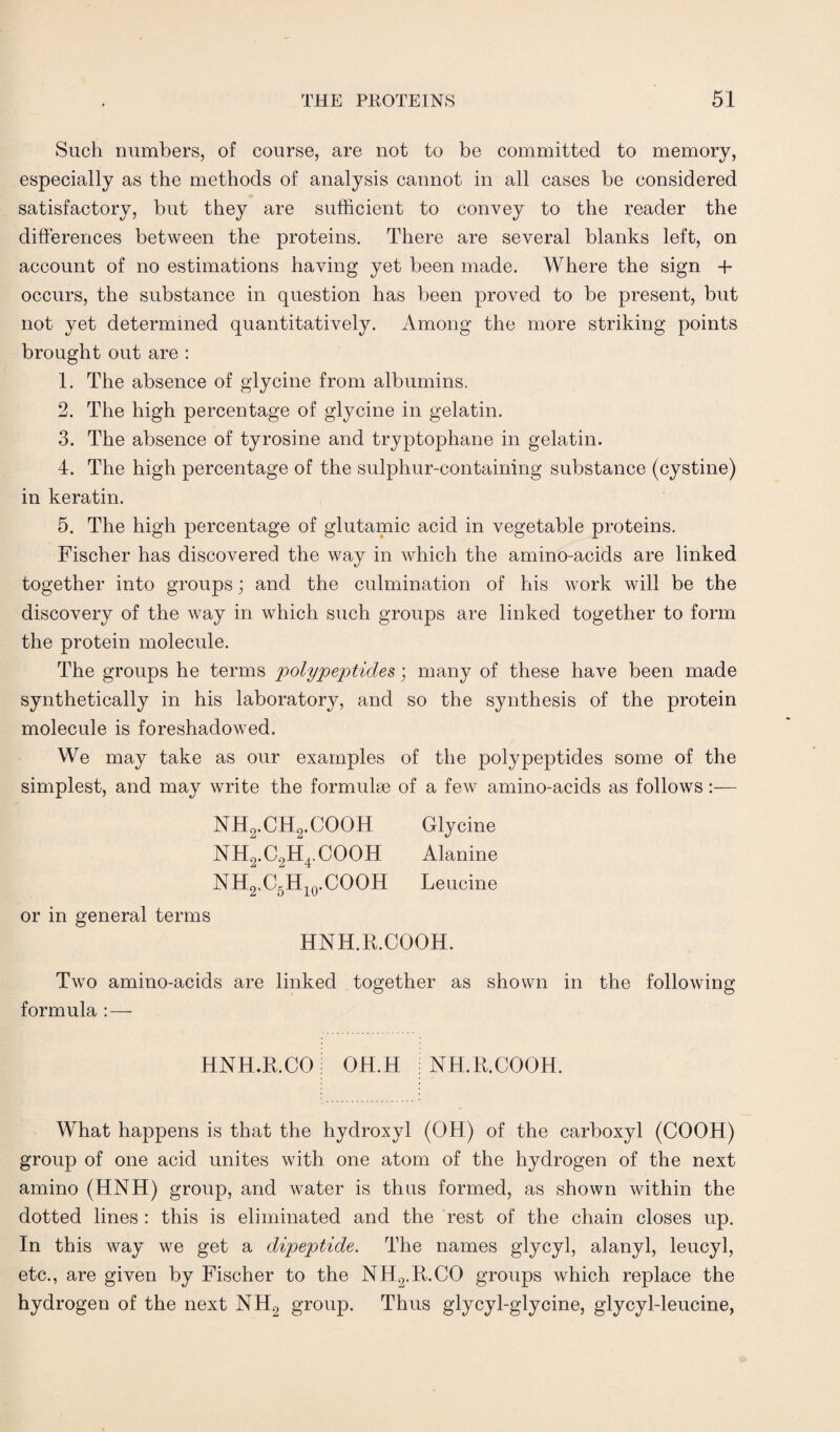 Such numbers, of course, are not to be committed to memory, especially as the methods of analysis cannot in all cases be considered satisfactory, but they are sufficient to convey to the reader the differences between the proteins. There are several blanks left, on account of no estimations having yet been made. Where the sign + occurs, the substance in question has been proved to be present, but not yet determined quantitatively. Among the more striking points brought out are : 1. The absence of glycine from albumins. 2. The high percentage of glycine in gelatin. 3. The absence of tyrosine and tryptophane in gelatin. 4. The high percentage of the sulphur-containing substance (cystine) in keratin. 5. The high percentage of glutamic acid in vegetable proteins. Fischer has discovered the way in which the amino-acids are linked together into groups; and the culmination of his work will be the discovery of the way in which such groups are linked together to form the protein molecule. The groups he terms 'polypeptides; many of these have been made synthetically in his laboratory, and so the synthesis of the protein molecule is foreshadowed. We may take as our examples of the polypeptides some of the simplest, and may write the formulae of a few amino-acids as follows:— NH2.CH2.COOH Glycine NH2.C2H4.COOH Alanine NH2.C5H10.COOH Leucine or in general terms HNH.R.COOH. Two amino-acids are linked together as shown in the following formula :—- HNH.R.CO OH.H NH.R.COOH. What happens is that the hydroxyl (OH) of the carboxyl (COOH) group of one acid unites with one atom of the hydrogen of the next amino (HNH) group, and water is thus formed, as shown within the dotted lines : this is eliminated and the rest of the chain closes up. In this way we get a dipeptide. The names glycyl, alanyl, leucyl, etc., are given by Fischer to the NH2.R.CO groups which replace the hydrogen of the next NH2 group. Thus glycyl-glycine, glycyl-leucine,