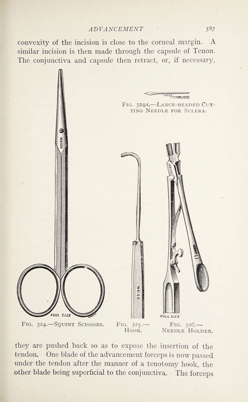 convexity of the incision is close to the corneal margin. A similar incision is then made through the capsule of Tenon. The conjunctiva and capsule then retract, or, if necessary, Hook. Needle Holder. they are pushed back so as to expose the insertion of the tendon. One blade of the advancement forceps is now passed under the tendon after the manner of a tenotomy hook, the other blade being superficial to the conjunctiva. The forceps