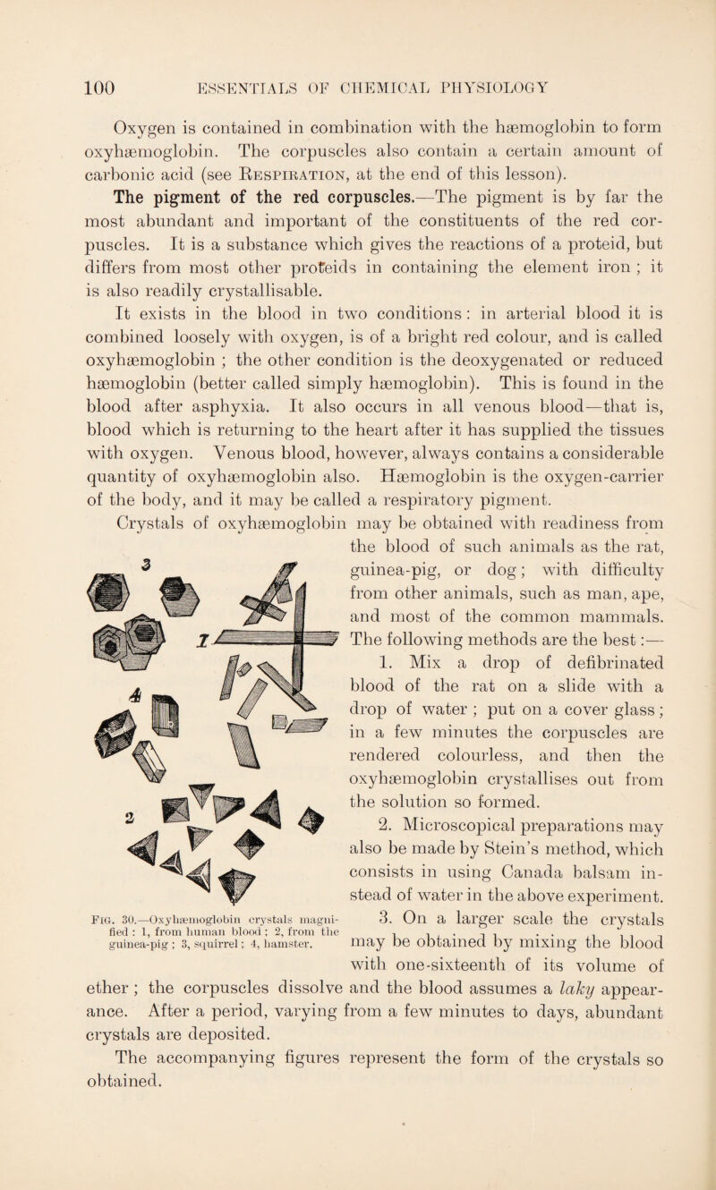 Oxygen is contained in combination with the haemoglobin to form oxyhaemoglobin. The corpuscles also contain a certain amount of carbonic acid (see Respiration, at the end of this lesson). The pigment of the red corpuscles.—The pigment is by far the most abundant and important of the constituents of the red cor¬ puscles. It is a substance which gives the reactions of a proteid, but differs from most other proteids in containing the element iron ; it is also readily crystallisable. It exists in the blood in two conditions : in arterial blood it is combined loosely with oxygen, is of a bright red colour, and is called oxyhaemoglobin ; the other condition is the deoxygenated or reduced haemoglobin (better called simply haemoglobin). This is found in the blood after asphyxia. It also occurs in all venous blood—that is, blood which is returning to the heart after it has supplied the tissues with oxygen. Venous blood, however, always contains a considerable quantity of oxyhaemoglobin also. Haemoglobin is the oxygen-carrier of the body, and it may be called a respiratory pigment. Crystals of oxyhaemoglobin may be obtained with readiness from the blood of such animals as the rat, guinea-pig, or dog; with difficulty from other animals, such as man, ape, and most of the common mammals. The following methods are the best:— 1. Mix a drop of defibrinated blood of the rat on a slide with a drop of water ; put on a cover glass; in a few minutes the corpuscles are rendered colourless, and then the oxyhaemoglobin crystallises out from the solution so formed. 2. Microscopical preparations may also be made by Stein’s method, which consists in using Canada balsam in¬ stead of water in the above experiment. 3. On a larger scale the crystals may be obtained by mixing the blood with one-sixteenth of its volume of ether ; the corpuscles dissolve and the blood assumes a laky appear¬ ance. After a period, varying from a few minutes to days, abundant crystals are deposited. The accompanying figures represent the form of the crystals so obtained. Fig. 30.—Oxyhaemoglobin crystals magni¬ fied : 1, from human blood ; 2, from the guinea-pig : 3, squirrel; 4, hamster.