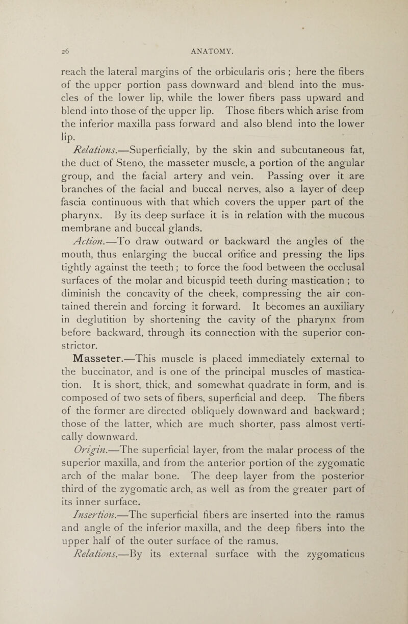 reach the lateral margins of the orbicularis oris ; here the fibers of the upper portion pass downward and blend into the mus¬ cles of the lower lip, while the lower fibers pass upward and blend into those of the upper lip. Those fibers which arise from the inferior maxilla pass forward and also blend into the lower lip. Relations.—Superficially, by the skin and subcutaneous fat, the duct of Steno, the masseter muscle, a portion of the angular group, and the facial artery and vein. Passing over it are branches of the facial and buccal nerves, also a layer of deep fascia continuous with that which covers the upper part of the pharynx. By its deep surface it is in relation with the mucous membrane and buccal glands. Action.—To draw outward or backward the angles of the mouth, thus enlarging the buccal orifice and pressing the lips tightly against the teeth; to force the food between the occlusal surfaces of the molar and bicuspid teeth during mastication ; to diminish the concavity of the cheek, compressing the air con¬ tained therein and forcing it forward. It becomes an auxiliary in deglutition by shortening the cavity of the pharynx from before backward, through its connection with the superior con¬ strictor. Masseter.—This muscle is placed immediately external to the buccinator, and is one of the principal muscles of mastica¬ tion. It is short, thick, and somewhat quadrate in form, and is composed of two sets of fibers, superficial and deep. The fibers of the former are directed obliquely downward and backward ; those of the latter, which are much shorter, pass almost verti¬ cally downward. Origin.—The superficial layer, from the malar process of the superior maxilla, and from the anterior portion of the zygomatic arch of the malar bone. The deep layer from the posterior third of the zygomatic arch, as well as from the greater part of its inner surface. Insertion.—The superficial fibers are inserted into the ramus and angle of the inferior maxilla, and the deep fibers into the upper half of the outer surface of the ramus. Relations.—By its external surface with the zygomaticus