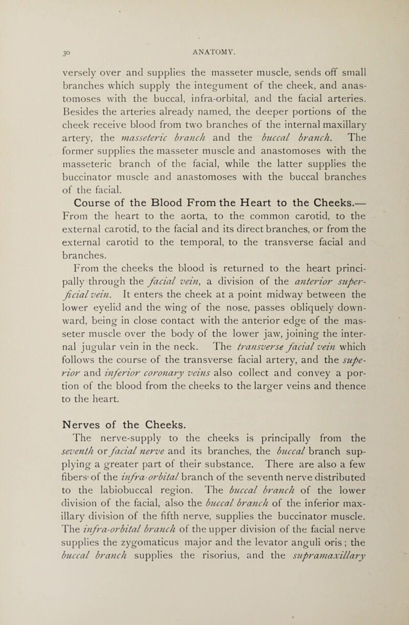versely over and supplies the masseter muscle, sends off small branches which supply the integument of the cheek, and anas¬ tomoses with the buccal, infra-orbital, and the facial arteries. Besides the arteries already named, the deeper portions of the cheek receive blood from two branches of the internal maxillary artery, the masseteric branch and the buccal branch. The former supplies the masseter muscle and anastomoses with the masseteric branch of the facial, while the latter supplies the buccinator muscle and anastomoses with the buccal branches of the facial. Course of the Blood From the Heart to the Cheeks.— From the heart to the aorta, to the common carotid, to the external carotid, to the facial and its direct branches, or from the external carotid to the temporal, to the transverse facial and branches. From the cheeks the blood is returned to the heart princi¬ pally through the facial vein, a division of the anterior super¬ ficial vein. It enters the cheek at a point midway between the lower eyelid and the wing of the nose, passes obliquely down¬ ward, being in close contact with the anterior edge of the mas¬ seter muscle over the body of the lower jaw, joining the inter¬ nal j ugular vein in the neck. The transverse facial vein which follows the course of the transverse facial artery, and the supe¬ rior and inferior coronary veins also collect and convey a por¬ tion of the blood from the cheeks to the larger veins and thence to the heart. Nerves of the Cheeks. The nerve-supply to the cheeks is principally from the seventh or facial nerve and its branches, the buccal branch sup¬ plying a greater part of their substance. There are also a few fibers'of the infra-orbital branch of the seventh nerve distributed to the labiobuccal region. The buccal branch of the lower division of the facial, also the buccal branch of the inferior max¬ illary division of the fifth nerve, supplies the buccinator muscle. The infra-orbital branch of the upper division of the facial nerve supplies the zygomaticus major and the levator anguli oris ; the buccal branch supplies the risorius, and the supr am axillary