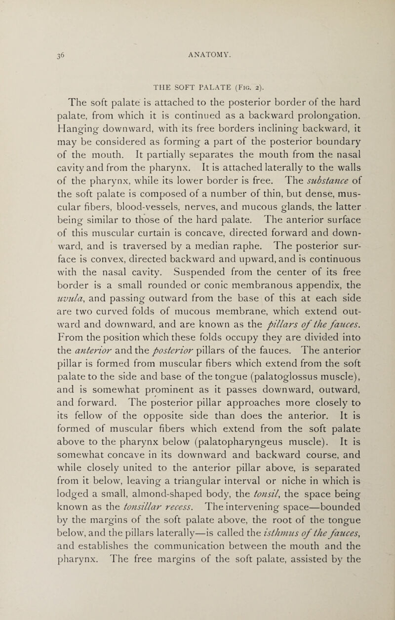 THE SOFT PALATE (Fig. 2). The soft palate is attached to the posterior border of the hard palate, from which it is continued as a backward prolongation. Hanohnof downward, with its free borders inclining backward, it may be considered as forming a part of the posterior boundary of the mouth. It partially separates the mouth from the nasal cavity and from the pharynx. It is attached laterally to the walls of the pharynx, while its lower border is free. The substance of the soft palate is composed of a number of thin, but dense, mus¬ cular fibers, blood-vessels, nerves, and mucous glands, the latter being similar to those of the hard palate. The anterior surface of this muscular curtain is concave, directed forward and down¬ ward, and is traversed by a median raphe. The posterior sur¬ face is convex, directed backward and upward, and is continuous with the nasal cavity. Suspended from the center of its free border is a small rounded or conic membranous appendix, the uvula, and passing outward from the base of this at each side are two curved folds of mucous membrane, which extend out¬ ward and downward, and are known as the pillars of the fauces. From the position which these folds occupy they are divided into the anterior and the posterior pillars of the fauces. The anterior pillar is formed from muscular fibers which extend from the soft palate to the side and base of the tongue (palatoglossus muscle), and is somewhat prominent as it passes downward, outward, and forward. The posterior pillar approaches more closely to its fellow of the opposite side than does the anterior. It is formed of muscular fibers which extend from the soft palate above to the pharynx below (palatopharyngeus muscle). It is somewhat concave in its downward and backward course, and while closely united to the anterior pillar above, is separated from it below, leaving a triangular interval or niche in which is lodged a small, almond-shaped body, the tonsil, the space being known as the tonsillar recess. The intervening space—bounded by the margins of the soft palate above, the root of the tongue below, and the pillars laterally—is called the isthmus of the fauces, and establishes the communication between the mouth and the pharynx. The free margins of the soft palate, assisted by the