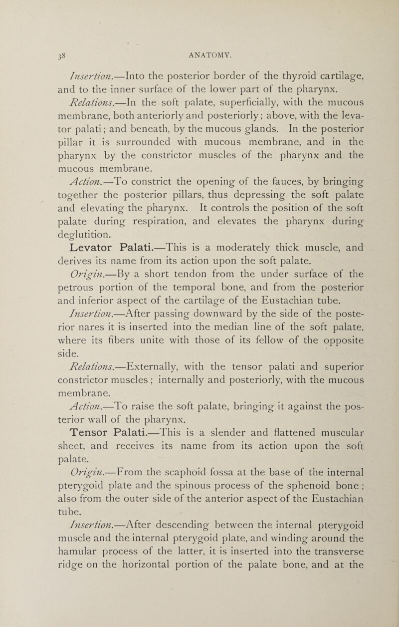 Insertion.—Into the posterior border of the thyroid cartilage, and to the inner surface of the lower part of the pharynx. Relations.—In the soft palate, superficially, with the mucous membrane, both anteriorly and posteriorly; above, with the leva¬ tor palati; and beneath, by the mucous glands. In the posterior pillar it is surrounded with mucous membrane, and in the pharynx by the constrictor muscles of the pharynx and the mucous membrane. Action.—To constrict the opening of the fauces, by bringing together the posterior pillars, thus depressing the soft palate and elevating the pharynx. It controls the position of the soft palate during respiration, and elevates the pharynx during deglutition. Levator Palati.—This is a moderately thick muscle, and derives its name from its action upon the soft palate. Origin.—By a short tendon from the under surface of the petrous portion of the temporal bone, and from the posterior and inferior aspect of the cartilage of the Eustachian tube. Insertion.—After passing downward by the side of the poste¬ rior nares it is inserted into the median line of the soft palate, where its fibers unite with those of its fellow of the opposite side. Relations.—Externally, with the tensor palati and superior constrictor muscles ; internally and posteriorly, with the mucous membrane. Action.—To raise the soft palate, bringing it against the pos¬ terior wall of the pharynx. Tensor Palati.—This is a slender and flattened muscular sheet, and receives its name from its action upon the soft palate. Origin.—From the scaphoid fossa at the base of the internal pterygoid plate and the spinous process of the sphenoid bone ; also from the outer side of the anterior aspect of the Eustachian tube. Insertion.—After descending between the internal pterygoid muscle and the internal pterygoid plate, and winding around the hamular process of the latter, it is inserted into the transverse ridge on the horizontal portion of the palate bone, and at the
