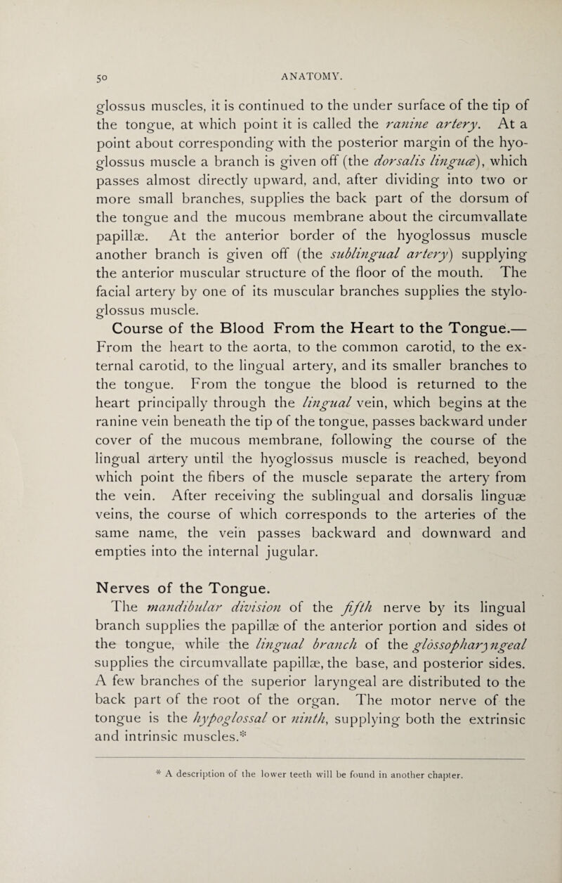 glossus muscles, it is continued to the under surface of the tip of the tongue, at which point it is called the ranine artery. At a point about corresponding with the posterior margin of the hyo- glossus muscle a branch is given off (the dorsalis lingua), which passes almost directly upward, and, after dividing into two or more small branches, supplies the back part of the dorsum of the toneue and the mucous membrane about the circumvallate o papillae. At the anterior border of the hyoglossus muscle another branch is given off (the sublingual artery) supplying the anterior muscular structure of the floor of the mouth. The facial artery by one of its muscular branches supplies the stylo¬ glossus muscle. Course of the Blood From the Heart to the Tongue.— From the heart to the aorta, to the common carotid, to the ex¬ ternal carotid, to the lingual artery, and its smaller branches to the tonorue. From the tongue the blood is returned to the heart principally through the lingual vein, which begins at the ranine vein beneath the tip of the tongue, passes backward under cover of the mucous membrane, following the course of the lingual artery until the hyoglossus muscle is reached, beyond which point the fibers of the muscle separate the artery from the vein. After receiving the sublingual and dorsalis linguae veins, the course of which corresponds to the arteries of the same name, the vein passes backward and downward and empties into the internal jugular. Nerves of the Tongue. The mandibular division of the fifth nerve by its lingual branch supplies the papillae of the anterior portion and sides ol the tongue, while the lingual branch of the glossopharyngeal supplies the circumvallate papillae, the base, and posterior sides. A few branches of the superior laryngeal are distributed to the back part of the root of the organ. The motor nerve of the tongue is the hypoglossal or ninth, supplying both the extrinsic and intrinsic muscles.* * A description of the lower teetli will be found in another chapter.