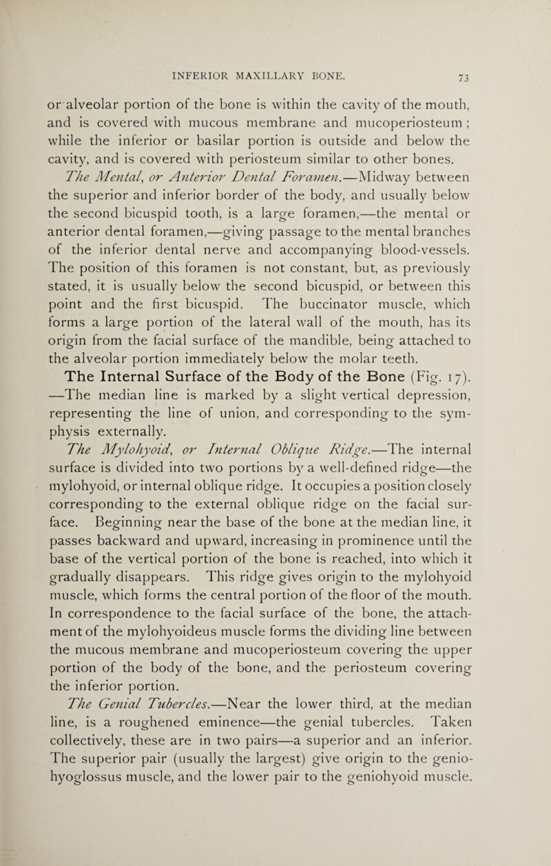 or alveolar portion of the bone is within the cavity of the mouth, and is covered with mucous membrane and mucoperiosteum ; while the inferior or basilar portion is outside and below the cavity, and is covered with periosteum similar to other bones. The Mental, or Anterior De7ital Foramen.—Midway between the superior and inferior border of the body, and usually below the second bicuspid tooth, is a large foramen,—the mental or anterior dental foramen,—giving passage to the mental branches of the inferior dental nerve and accompanying blood-vessels. The position of this foramen is not constant, but, as previously stated, it is usually below the second bicuspid, or between this point and the first bicuspid. The buccinator muscle, which forms a large portion of the lateral wall of the mouth, has its origin from the facial surface of the mandible, being attached to the alveolar portion immediately below the molar teeth. The Internal Surface of the Body of the Bone (Fig. 17). —The median line is marked by a slight vertical depression, representing the line of union, and corresponding to the sym¬ physis externally. The Mylohyoid, or Internal Oblique Ridge.—The internal surface is divided into two portions by a well-defined ridge—the mylohyoid, or internal oblique ridge. It occupies a position closely corresponding to the external oblique ridge on the facial sur¬ face. Beginning near the base of the bone at the median line, it passes backward and upward, increasing in prominence until the base of the vertical portion of the bone is reached, into which it gradually disappears. This ridge gives origin to the mylohyoid muscle, which forms the central portion of the floor of the mouth. In correspondence to the facial surface of the bone, the attach¬ ment of the mylohyoideus muscle forms the dividing line between the mucous membrane and mucoperiosteum covering the upper portion of the body of the bone, and the periosteum covering the inferior portion. The Genial Tubercles.—Near the lower third, at the median line, is a roughened eminence—the genial tubercles. Taken collectively, these are in two pairs—a superior and an inferior. The superior pair (usually the largest) give origin to the genio- hyoglossus muscle, and the lower pair to the geniohyoid muscle.