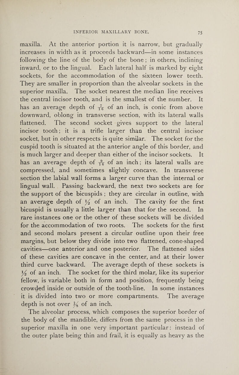 maxilla. At the anterior portion it is narrow, but gradually increases in width as it proceeds backward—in some instances following the line of the body of the bone ; in others, inclining inward, or to the lingual. Each lateral half is marked by eight sockets, for the accommodation of the sixteen lower teeth. They are smaller in proportion than the alveolar sockets in the superior maxilla. The socket nearest the median line receives the central incisor tooth, and is the smallest of the number. It has an average depth of TV of an inch, is conic from above downward, oblong in transverse section, with its lateral walls flattened. The second socket gives support to the lateral incisor tooth; it is a trifle larger than the central incisor socket, but in other respects is quite similar. The socket for the cuspid tooth is situated at the anterior angle of this border, and is much larger and deeper than either of the incisor sockets. It has an average depth of T9^ of an inch; its lateral walls are compressed, and sometimes slightly concave. In transverse section the labial wall forms a larger curve than the internal or lingual wall. Passing backward, the next two sockets are for the support of the bicuspids ; they are circular in outline, with an average depth of y2 of an inch. The cavity for the first bicuspid is usually a little larger than that for the second. In rare instances one or the other of these sockets will be divided for the accommodation of two roots. The sockets for the first and second molars present a circular outline upon their free margins, but below they divide into two flattened, cone-shaped cavities—one anterior and one posterior. The flattened sides of these cavities are concave in the center, and at their lower third curve backward. The average depth of these sockets is y2 of an inch. The socket for the third molar, like its superior fellow, is variable both in form and position, frequently being crowded inside or outside of the tooth-line. In some instances it is divided into two or more compartments. The average depth is not over y of an inch. The alveolar process, which composes the superior border of the body of the mandible, differs from the same process in the superior maxilla in one very important particular: instead of the outer plate being thin and frail, it is equally as heavy as the