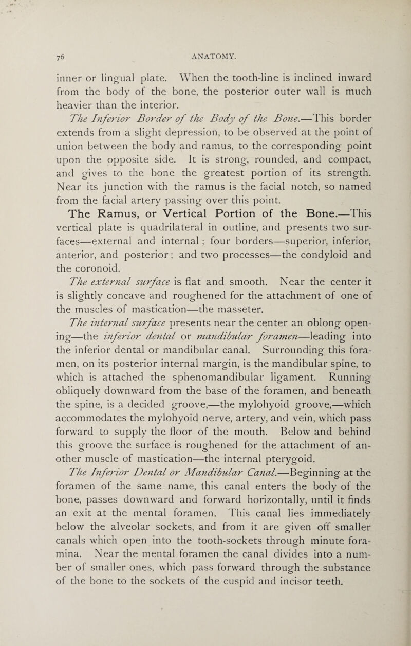 inner or lingual plate. When the tooth-line is inclined inward from the body of the bone, the posterior outer wall is much heavier than the interior. The Inferior Border of the Body of the Bone.—This border extends from a slight depression, to be observed at the point of union between the body and ramus, to the corresponding point upon the opposite side. It is strong, rounded, and compact, and gives to the bone the greatest portion of its strength. Near its junction with the ramus is the facial notch, so named from the facial artery passing over this point. The Ramus, or Vertical Portion of the Bone.—This vertical plate is quadrilateral in outline, and presents two sur¬ faces—external and internal ; four borders—superior, inferior, anterior, and posterior; and two processes—the condyloid and the coronoid. The external surface is flat and smooth. Near the center it is slightly concave and roughened for the attachment of one of the muscles of mastication—the masseter. The internal surface presents near the center an oblong open¬ ing—the inferior dental or mandibular foramen—leading into the inferior dental or mandibular canal. Surrounding this fora¬ men, on its posterior internal margin, is the mandibular spine, to which is attached the sphenomandibular ligament. Running obliquely downward from the base of the foramen, and beneath the spine, is a decided groove,—the mylohyoid groove,—which accommodates the mylohyoid nerve, artery, and vein, which pass forward to supply the floor of the mouth. Below and behind this groove the surface is roughened for the attachment of an¬ other muscle of mastication—the internal pterygoid. The Inferior Dental or Mandibular Canal.—Beginning at the foramen of the same name, this canal enters the body of the bone, passes downward and forward horizontally, until it finds an exit at the mental foramen. This canal lies immediately below the alveolar sockets, and from it are given off smaller canals which open into the tooth-sockets through minute fora¬ mina. Near the mental foramen the canal divides into a num¬ ber of smaller ones, which pass forward through the substance of the bone to the sockets of the cuspid and incisor teeth.