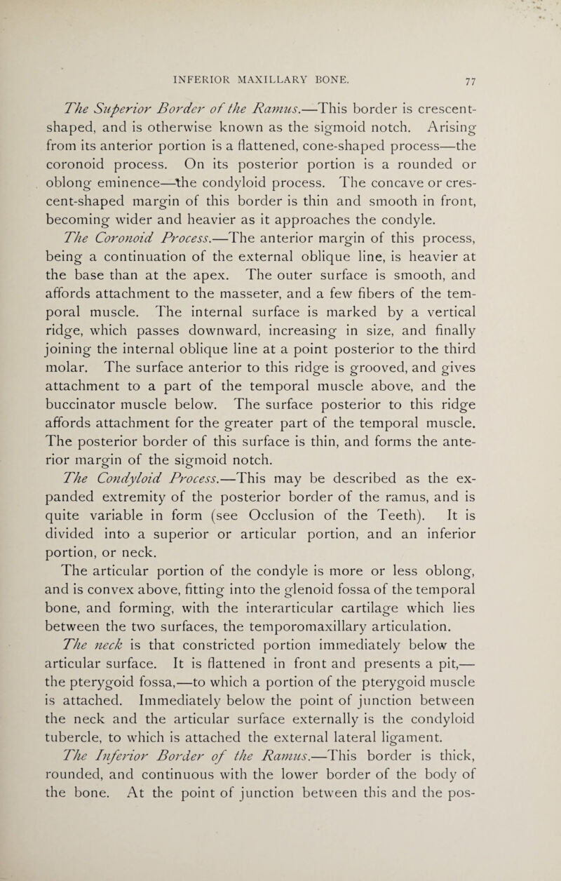 The Superior Border of the Ramus.—This border is crescent¬ shaped, and is otherwise known as the sigmoid notch. Arising from its anterior portion is a flattened, cone-shaped process—the coronoid process. On its posterior portion is a rounded or oblong eminence—the condyloid process. The concave or cres¬ cent-shaped margin of this border is thin and smooth in front, becoming wider and heavier as it approaches the condyle. The Coronoid Process.—The anterior margin of this process, being a continuation of the external oblique line, is heavier at the base than at the apex. The outer surface is smooth, and affords attachment to the masseter, and a few fibers of the tem¬ poral muscle. The internal surface is marked by a vertical ridge, which passes downward, increasing in size, and finally joining the internal oblique line at a point posterior to the third molar. The surface anterior to this ridge is grooved, and gives attachment to a part of the temporal muscle above, and the buccinator muscle below. The surface posterior to this ridge affords attachment for the greater part of the temporal muscle. The posterior border of this surface is thin, and forms the ante¬ rior margin of the sigmoid notch. The Condyloid Process.—This may be described as the ex¬ panded extremity of the posterior border of the ramus, and is quite variable in form (see Occlusion of the Teeth). It is divided into a superior or articular portion, and an inferior portion, or neck. The articular portion of the condyle is more or less oblong, and is convex above, fitting into the glenoid fossa of the temporal bone, and forming, with the interarticular cartilage which lies between the two surfaces, the temporomaxillary articulation. The neck is that constricted portion immediately below the articular surface. It is flattened in front and presents a pit,— the pterygoid fossa,—to which a portion of the pterygoid muscle is attached. Immediately below the point of junction between the neck and the articular surface externally is the condyloid tubercle, to which is attached the external lateral ligament. The Inferior Border of the Ramus.—This border is thick, rounded, and continuous with the lower border of the body of the bone. At the point of junction between this and the pos-