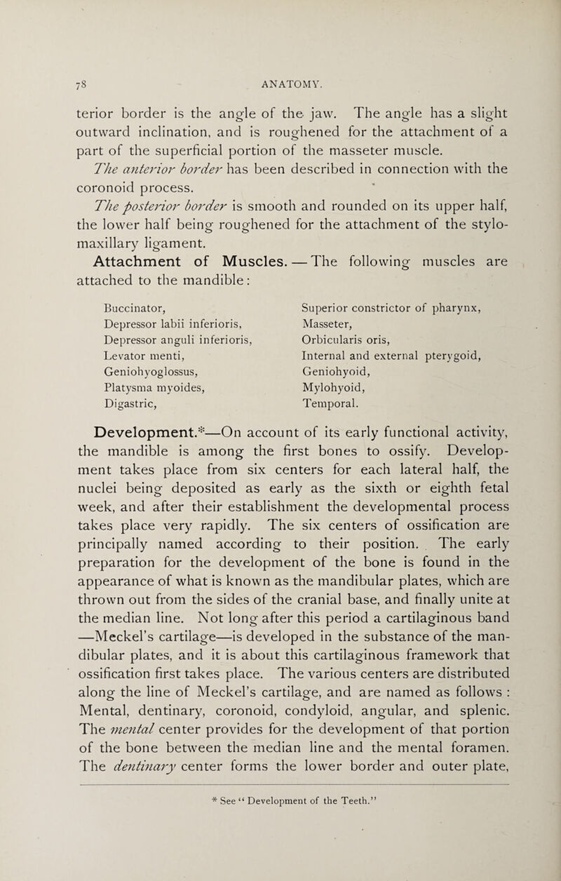 terior border is the angle of the jaw. The angle has a slight outward inclination, and is roughened for the attachment ot a part of the superficial portion of the masseter muscle. The anterior border has been described in connection with the coronoid process. The postej'ior border is smooth and rounded on its upper half, the lower half being roughened for the attachment of the stylo¬ maxillary ligament. Attachment of Muscles. — The following muscles are attached to the mandible: Buccinator, Depressor labii inferioris, Depressor anguli inferioris, Levator menti, Geniohyoglossus, Platysma myoides, Digastric, Superior constrictor of pharynx, Masseter, Orbicularis oris, Internal and external pterygoid, Geniohyoid, Mylohyoid, Temporal. Development.*—On account of its early functional activity, the mandible is among the first bones to ossify. Develop¬ ment takes place from six centers for each lateral half, the nuclei being deposited as early as the sixth or eighth fetal week, and after their establishment the developmental process takes place very rapidly. The six centers of ossification are principally named according to their position. The early preparation for the development of the bone is found in the appearance of what is known as the mandibular plates, which are thrown out from the sides of the cranial base, and finally unite at the median line. Not long after this period a cartilaginous band —Meckel’s cartilage—is developed in the substance of the man¬ dibular plates, and it is about this cartilaginous framework that ossification first takes place. The various centers are distributed along the line of Meckel’s cartilage, and are named as follows : Mental, dentinary, coronoid, condyloid, angular, and splenic. The mental center provides for the development of that portion of the bone between the median line and the mental foramen. The dentinary center torms the lower border and outer plate, * See “ Development of the Teeth.”
