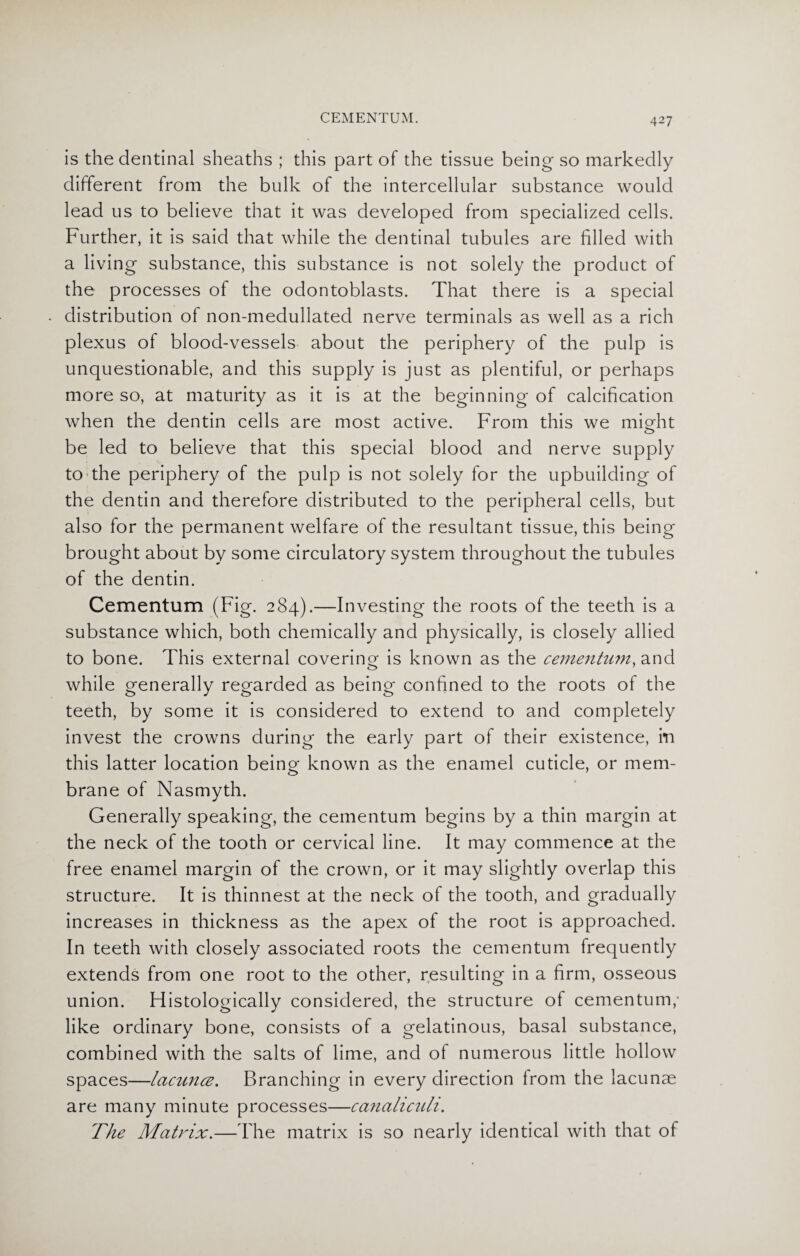 is the dentinal sheaths ; this part of the tissue being so markedly different from the bulk of the intercellular substance would lead us to believe that it was developed from specialized cells. Further, it is said that while the dentinal tubules are filled with a living substance, this substance is not solely the product of the processes of the odontoblasts. That there is a special distribution of non-medullated nerve terminals as well as a rich plexus of blood-vessels about the periphery of the pulp is unquestionable, and this supply is just as plentiful, or perhaps more so, at maturity as it is at the beginning of calcification when the dentin cells are most active. From this we might be led to believe that this special blood and nerve supply to the periphery of the pulp is not solely for the upbuilding of the dentin and therefore distributed to the peripheral cells, but also for the permanent welfare of the resultant tissue, this being brought about by some circulatory system throughout the tubules of the dentin. Cementum (Fig. 284).—Investing the roots of the teeth is a substance which, both chemically and physically, is closely allied to bone. This external covering is known as the cementum, and while generally regarded as being confined to the roots of the teeth, by some it is considered to extend to and completely invest the crowns during the early part of their existence, in this latter location beine known as the enamel cuticle, or mem- brane of Nasmyth. Generally speaking, the cementum begins by a thin margin at the neck of the tooth or cervical line. It may commence at the free enamel margin of the crown, or it may slightly overlap this structure. It is thinnest at the neck of the tooth, and gradually increases in thickness as the apex of the root is approached. In teeth with closely associated roots the cementum frequently extends from one root to the other, resulting in a firm, osseous union. Histologically considered, the structure of cementum; like ordinary bone, consists of a gelatinous, basal substance, combined with the salts of lime, and of numerous little hollow spaces—lacuncz. Branching in every direction from the lacunae are many minute processes—canaliculi. The Matrix.—The matrix is so nearly identical with that of