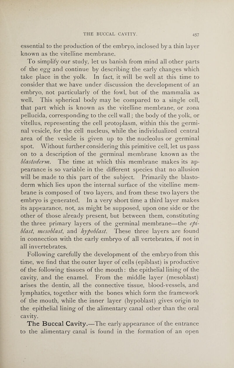 essential to the production of the embryo, inclosed by a thin layer known as the vitelline membrane. To simplify our study, let us banish from mind all other parts of the egg and continue by describing the early changes which take place in the yolk. In fact, it will be well at this time to consider that we have under discussion the development of an embryo, not particularly of the fowl, but of the mammalia as well. This spherical body may be compared to a single cell, that part which is known as the vitelline membrane, or zona pellucida, corresponding to the cell wall; the body of the yolk, or vitellus, representing the cell protoplasm, within this the germi¬ nal vesicle, for the cell nucleus, while the individualized central area of the vesicle is given up to the nucleolus or germinal spot. Without further considering this primitive cell, let us pass on to a description of the germinal membrane known as the blastoderm. The time at which this membrane makes its ap¬ pearance is so variable in the different species that no allusion will be made to this part of the subject. Primarily the blasto¬ derm which lies upon the internal surface of the vitelline mem¬ brane is composed of two layers, and from these two layers the embryo is generated. In a very short time a third layer makes its appearance, not, as might be supposed, upon one side or the other of those already present, but between them, constituting the three primary layers of the germinal membrane—the epi- blast, mesoblast, and hypoblast. These three layers are found in connection with the early embryo of all vertebrates, if not in all invertebrates. Following carefully the development of the embryo from this time, we find that the outer layer of cells (epiblast) is productive of the following tissues of the mouth : the epithelial lining of the cavity, and the enamel. From the middle layer (mesoblast) arises the dentin, all the connective tissue, blood-vessels, and lymphatics, together with the bones which form the framework of the mouth, while the inner layer (hypoblast) gives origin to the epithelial lining of the alimentary canal other than the oral cavity. The Buccal Cavity.—The early appearance of the entrance to the alimentary canal is found in the formation of an open