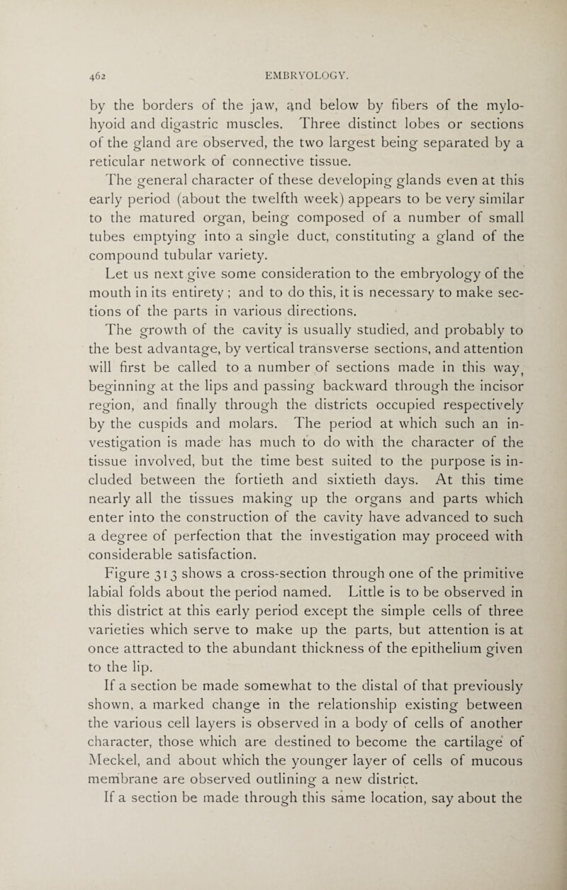 by the borders of the jaw, qnd below by fibers of the mylo¬ hyoid and digastric muscles. Three distinct lobes or sections of the gland are observed, the two largest being separated by a reticular network of connective tissue. The general character of these developing glands even at this early period (about the twelfth week) appears to be very similar to the matured organ, being composed of a number of small tubes emptying into a single duct, constituting a gland of the compound tubular variety. Let us next give some consideration to the embryology of the mouth in its entirety ; and to do this, it is necessary to make sec¬ tions of the parts in various directions. The growth of the cavity is usually studied, and probably to the best advantage, by vertical transverse sections, and attention will first be called to a number of sections made in this way? beginning at the lips and passing backward through the incisor region, and finally through the districts occupied respectively by the cuspids and molars. The period at which such an in¬ vestigation is made has much to do with the character of the tissue involved, but the time best suited to the purpose is in¬ cluded between the fortieth and sixtieth days. At this time nearly all the tissues making up the organs and parts which enter into the construction of the cavity have advanced to such a degree of perfection that the investigation may proceed with considerable satisfaction. Figure 313 shows a cross-section through one of the primitive labial folds about the period named. Little is to be observed in this district at this early period except the simple cells of three varieties which serve to make up the parts, but attention is at once attracted to the abundant thickness of the epithelium given to the lip. If a section be made somewhat to the distal of that previously shown, a marked change in the relationship existing between the various cell layers is observed in a body of cells of another character, those which are destined to become the cartilage of Meckel, and about which the younger layer of cells of mucous membrane are observed outlining a new district. If a section be made through this same location, say about the
