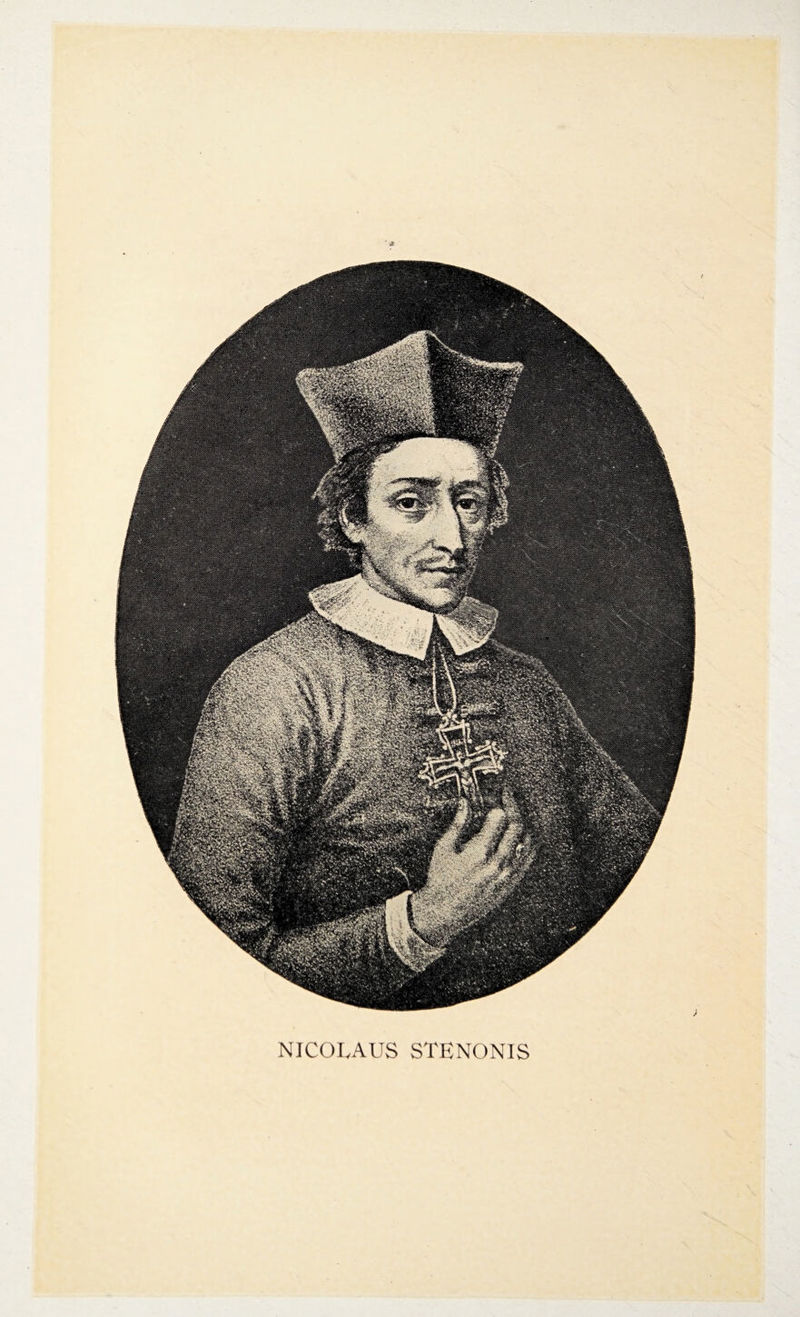 NICOLAUS STENONIS