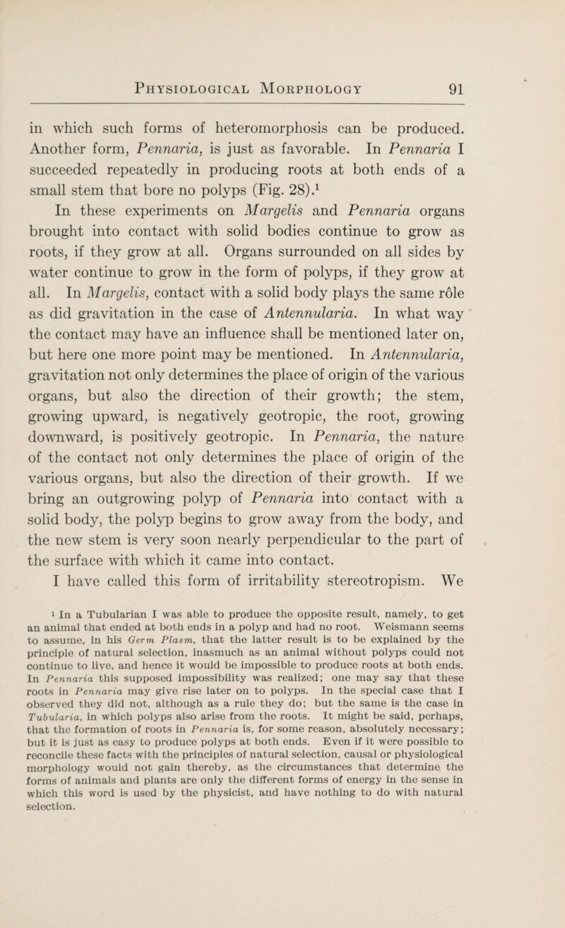 in which such forms of heteromorphosis can be produced. Another form, Pennaria, is just as favorable. In Pennaria I succeeded repeatedly in producing roots at both ends of a small stem that bore no polyps (Fig. 28).1 In these experiments on Margelis and Pennaria organs brought into contact with solid bodies continue to grow as roots, if they grow at all. Organs surrounded on all sides by water continue to grow in the form of polyps, if they grow at all. In Margelis, contact with a solid body plays the same role as did gravitation in the case of Antennularia. In what way the contact may have an influence shall be mentioned later on, but here one more point may be mentioned. In Antennularia, gravitation not only determines the place of origin of the various organs, but also the direction of their growth; the stem, growing upward, is negatively geotropic, the root, growing downward, is positively geotropic. In Pennaria, the nature of the contact not only determines the place of origin of the various organs, but also the direction of their growth. If we bring an outgrowing polyp of Pennaria into contact with a solid body, the polyp begins to grow away from the body, and the new stem is very soon nearly perpendicular to the part of the surface with which it came into contact. I have called this form of irritability stereotropism. We 1 In a Tubularian I was able to produce the opposite result, namely, to get an animal that ended at both ends in a polyp and had no root. Weismann seems to assume, in his Germ Plasm, that the latter result is to be explained by the principle of natural selection, inasmuch as an animal without polyps could not continue to live, and hence it would be impossible to produce roots at both ends. In Pennaria this supposed impossibility was realized; one may say that these roots in Pennaria may give rise later on to polyps. In the special case that I observed they did not, although as a rule they do; but the same is the case in Tubularia, in which polyps also arise from the roots. It might be said, perhaps, that the formation of roots in Pennaria is, for some reason, absolutely necessary; but it is just as easy to produce polyps at both ends. Even if it were possible to reconcile these facts with the principles of natural selection, causal or physiological morphology would not gain thereby, as the circumstances that determine the forms of animals and plants are only the different forms of energy in the sense in which this word is used by the physicist, and have nothing to do with natural selection.