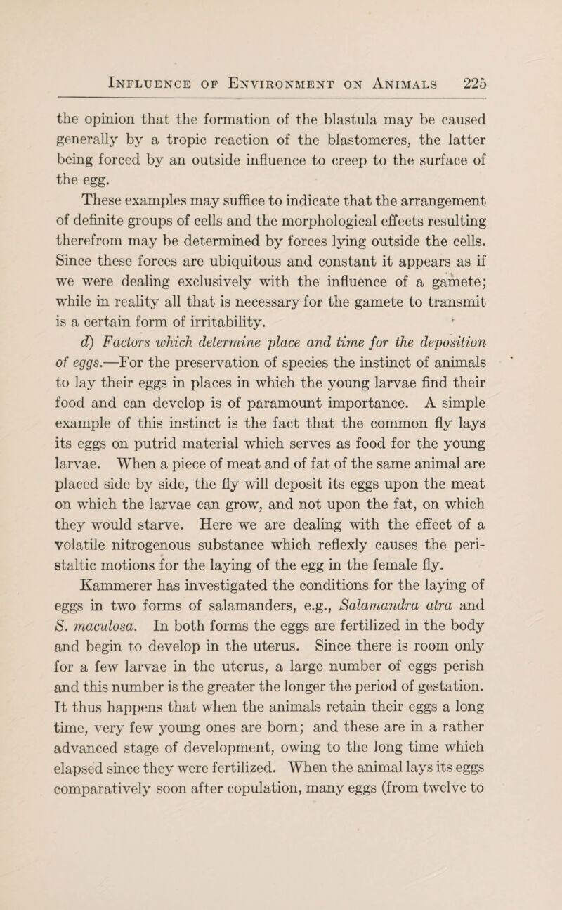 the opinion that the formation of the blastula may be caused generally by a tropic reaction of the blastomeres, the latter being forced by an outside influence to creep to the surface of the egg. These examples may suffice to indicate that the arrangement of definite groups of cells and the morphological effects resulting therefrom may be determined by forces lying outside the cells. Since these forces are ubiquitous and constant it appears as if we were dealing exclusively with the influence of a gamete; while in reality all that is necessary for the gamete to transmit is a certain form of irritability. d) Factors which determine place and time for the deposition of eggs.—For the preservation of species the instinct of animals to lay their eggs in places in which the young larvae find their food and can develop is of paramount importance. A simple example of this instinct is the fact that the common fly lays its eggs on putrid material which serves as food for the young larvae. When a piece of meat and of fat of the same animal are placed side by side, the fly will deposit its eggs upon the meat on which the larvae can grow, and not upon the fat, on which they would starve. Here we are dealing with the effect of a volatile nitrogenous substance which reflexly causes the peri¬ staltic motions for the laying of the egg in the female fly. Kammerer has investigated the conditions for the laying of eggs in two forms of salamanders, e.g., Salamandra atra and S. maculosa. In both forms the eggs are fertilized in the body and begin to develop in the uterus. Since there is room only for a few larvae in the uterus, a large number of eggs perish and this number is the greater the longer the period of gestation. It thus happens that when the animals retain their eggs a long time, very few young ones are born; and these are in a rather advanced stage of development, owing to the long time which elapsed since they were fertilized. When the animal lays its eggs comparatively soon after copulation, many eggs (from twelve to