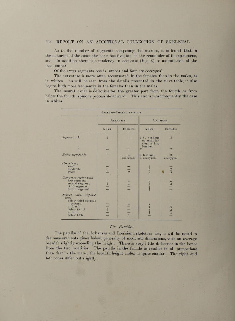 As to the number of segments composing the sacrum, it is found that in three-fourths of the cases the bone has five, and in the remainder of the specimens, six. In addition there is a tendency in one case (Fig. 8) to assimilation of the last lumbar. Of the extra segments one is lumbar and four are coccygeal. The curvature is more often accentuated in the females than in the males, as in whites. As will be seen from the details presented in the next table, it also begins high more frequently in the females than in the males. The neural canal is defective for the greater part from the fourth, or from below the fourth, spinous process downward. This also is most frequently the case in whites. Sacrum—Characteristics Arkansas Louisiana Males Females Males Females Segments: 5 3 — 6 (1 tending to assimila¬ tion of last lumbar) 5 6 — 1 2 2 Extra segment is — 1 coccygeal 1 lumbar 1 coccygeal 2 coccygeal Curvature : small — — 2 _ moderate 3 — 5 2 good — 2 2 i s Curvature begins with first segment — 1 3 5 second segment 3 1 3 2 third segment — — 1 fourth segment — — 1 Neural canal exposed from below third spinous process — 1 2 — at fourth — — i 4 below fourth 3 — 3 2 at fifth — — 1 1 below fifth — 1 — — The Pate lice. The patellae of the Arkansas and Louisiana skeletons are, as will be noted in the measurements given below, generally of moderate dimensions, with an average breadth slightly exceeding the height. There is very little difference in the bones from the two localities. The patella in the female is smaller in all proportions than that in the male; the breadth-height index is quite similar. The right and left bones differ but slightly.