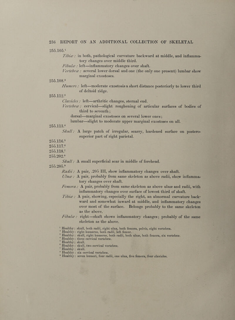 255.105.1 Tibia;: in both, pathological curvature backward at middle, and inflamma¬ tory changes over middle third. Fibula’: left—inflammatory changes over shaft. Vertebra : several lower dorsal and one (the only one present) lumbar show marginal exostoses. 255.108.2 Humeri: left—moderate exostosis a short distance posteriorly to lower third of deltoid ridge. 255.112.3 Clavicles : left—arthritic changes, sternal end. Vertebra;: cervical—slight roughening of articular surfaces of bodies of third to seventh; dorsal—marginal exostoses on several lower ones; lumbar—slight to moderate upper marginal exostoses on all. 255.113.4 Skull: A large patch of irregular, scarry, hardened surface on postero- superior part of right parietal. 255.116.5 255.117.6 255.118.7 255.202.8 Skull: A small superficial scar in middle of forehead. 255.205.9 Radii: A pair, .205 III, show inflammatory changes over shaft. Ulna: A pair, probably from same skeleton as above radii, show inflamma¬ tory changes over shaft. Femora : A pair, probably from same skeleton as above ulnae and radii, with inflammatory changes over surface of lowest third of shaft. Tibia: A pair, showing, especially the right, an abnormal curvature back¬ ward and somewhat inward at middle, and inflammatory changes over most of the surface. Belongs probably to the same skeleton as the above. Fibula: right—shaft shows inflammatory changes; probably of the same skeleton as the above. 1 Healthy: skull, both radii, right ulna, both femora, pelvis, eight vertebrae. 2 Healthy: right humerus, both radii, left femur. 3 Healthy : skull, right humerus, both radii, both ulnae, both femora, six vertebrae. Healthy ; three cervical vertebrae. 3 Healthy: skull. Healthy : skull, two cervical vertebrae. 7 Healthy : skull. 8 Healthy : six cervical vertebrae. 9 Healtby: seven humeri, four radii, one ulna, five femora, four clavicles.