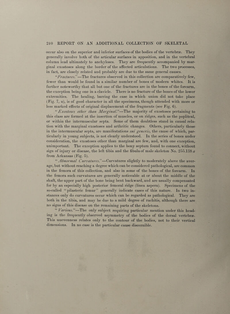 occur also on the superior and inferior surfaces of the bodies of the vertebrae. They generally involve both of the articular surfaces in apposition, and in the vertebral column lead ultimately to anchyloses. They are frequently accompanied by mar¬ ginal exostoses along the border of the affected articulations. The two processes, in fact, are closely related and probably are due to the same general causes. “Fractures'’—The fractures observed in this collection are comparatively few, fewer than would be found in a similar number of bones of modern whites. It is further noteworthy that all but one of the fractures are in the bones of the forearm, the exception being one in a clavicle. There is no fracture of the bones of the lower extremities. The healing, barring the case in which union did not take place (Fig. 7, a), is of good character in all the specimens, though attended with more or less marked effects of original displacement of the fragments (see Fig. 6). u Exostoses other than Marginal.”—The majority of exostoses pertaining to this class are formed at the insertion of muscles, or on ridges, such as the popliteal, or within the intermuscular septa. Some of them doubtless stand in causal rela¬ tion with the marginal exostoses and arthritic changes. Others, particularly those in the intermuscular septa, are manifestations sui generis, the cause of which, par¬ ticularly in young subjects, is not clearly understood. In the series of bones under consideration, the exostoses other than marginal are few, and, with one exception, unimportant. The exception applies to the bony septum found to connect, without sign of injury or disease, the left tibia and the fibula of male skeleton No. 255.138 a from Arkansas (Fig. 5). “ Abnormal Curvatures'.'—Curvatures slightly to moderately above the aver¬ age, but without reaching a degree which can be considered pathological, are common in the femora of this collection, and also in some of the bones of the forearm. In the femora such curvatures are generally noticeable at or about the middle of the shaft, the upper part of the bone being bent backward, and are usually compensated for by an especially high posterior femoral ridge (linea aspera). Specimens of the so-called “ pilasteric femur” generally indicate cases of this nature. In two in¬ stances only do curvatures occur which can be regarded as pathological. They are both in the tibia, and may be due to a mild degree of rachitis, although there are no signs of this disease on the remaining parts of the skeletons. “ Various.”—The only subject requiring particular mention under this head¬ ing is the frequently observed asymmetry of the bodies of the dorsal vertebrse. This unevenness relates only to the contour of the bodies, not to their vertical dimensions. In no case is the particular cause discernible.