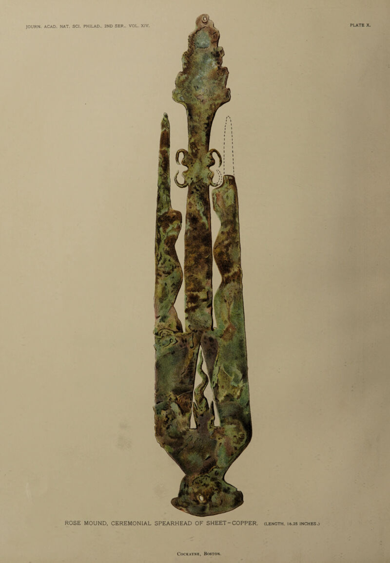 PLATE X. ROSE MOUND, CEREMONIAL SPEARHEAD OF SHEET-COPPER, (length, i6.25 inches.) Cockayne, Boston