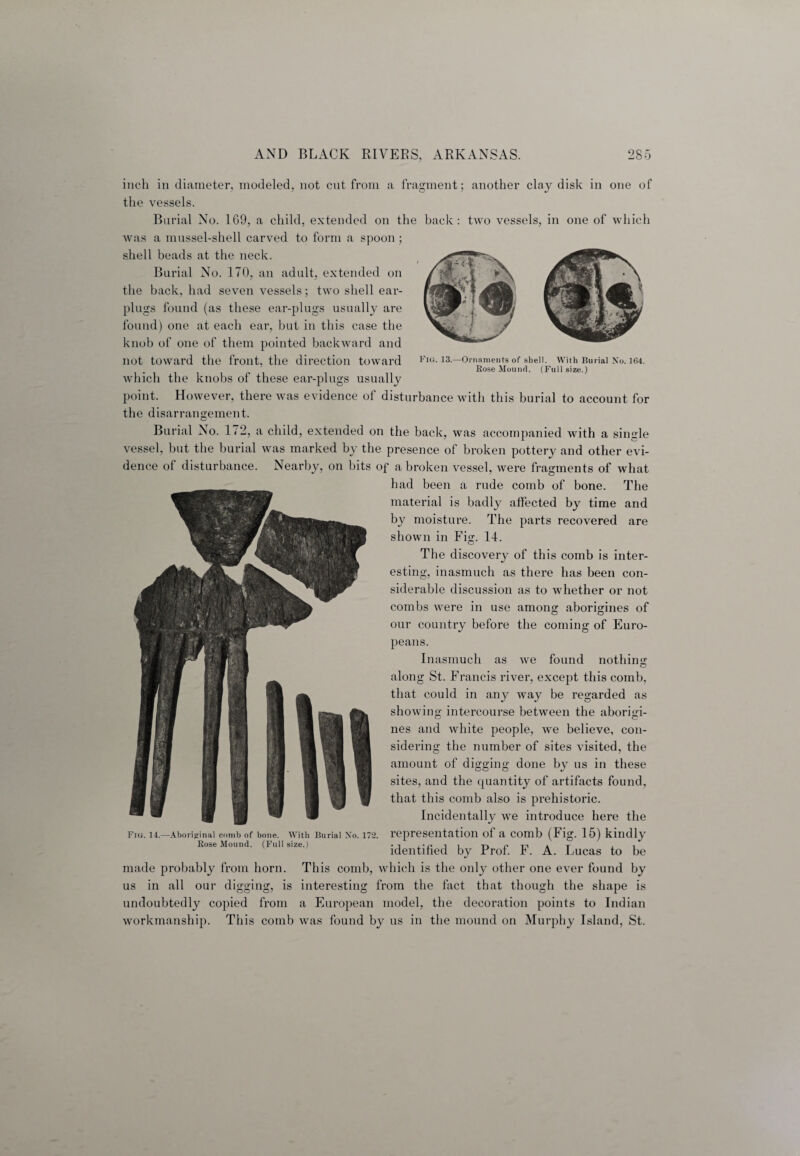 inch in diameter, modeled, not cnt from a fragment; another clay disk in one of the vessels. Burial No. 1G9, a child, extended on the back: two vessels, in one of which was a mussel-shell carved to form a spoon ; shell beads at the neck. Burial No. 170, an adult, extended on the back, had seven vessels; two shell ear¬ plugs found (as these ear-plugs usually are found) one at each ear, but in this case the knob of one of them pointed backward and not toward the front, the direction toward which the knobs of these ear-plugs usually point. However, there was evidence of disturbance with this burial to account for the disarrangement. Burial No. 172, a child, extended on the back, was accompanied with a single vessel, but the burial was marked by the presence of broken pottery and other evi¬ dence of disturbance. Nearby, on bits of a broken vessel, were fragments of what had been a rude comb of bone. The material is badly affected by time and by moisture. The parts recovered are shown in Fisr. 14. o The discovery of this comb is inter¬ esting, inasmuch as there has been con¬ siderable discussion as to whether or not combs were in use among aborigines of our country before the coming of Euro¬ peans. Inasmuch as we found nothing along St. Francis river, except this comb, that could in any way be regarded as showing intercourse between the aborigi¬ nes and white people, we believe, con¬ sidering the number of sites visited, the amount of digging done by us in these sites, and the quantity of artifacts found, that this comb also is prehistoric. Incidentally we introduce here the representation of a comb (Fig. 15) kindly identified by Prof. F. A. Lucas to be made probably from horn. This comb, which is the only other one ever found by us in all our digging, is interesting from the fact that though the shape is undoubtedly copied from a European model, the decoration points to Indian workmanship. This comb was found by us in the mound on Murphy Island, St. Fiu. 14.—Aboriginal comb of bone. With Burial Xo. 172. Rose Mound. (Full size.)