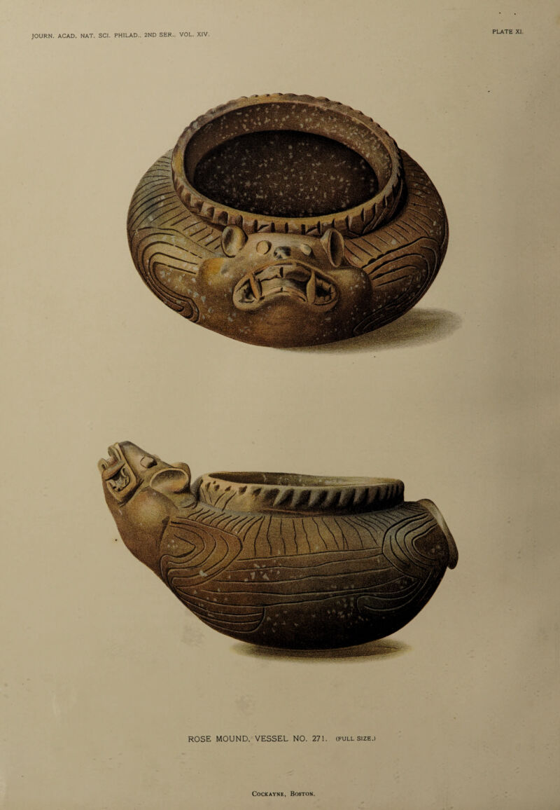 JOURN. ACAD. NAT. SCI. PHILAD.. 2ND SER.. VOL. XIV PLATE XI. ROSE MOUND. VESSEL NO. 271. (full size.)