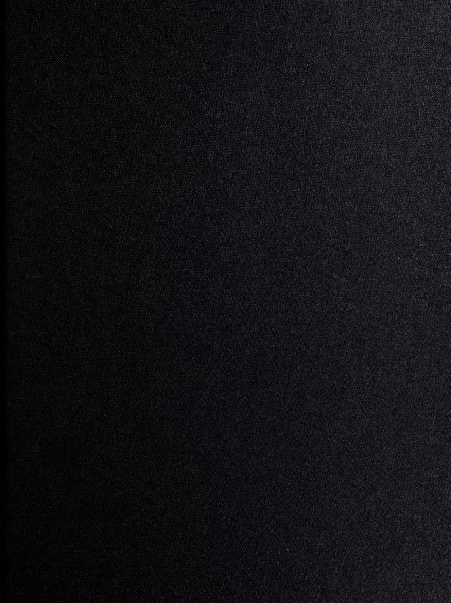digitised image 1